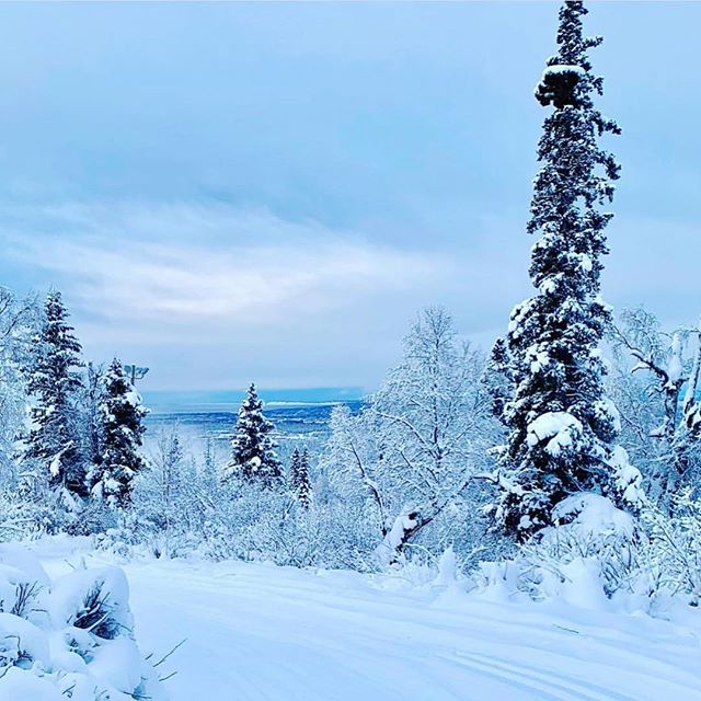 ☃️Anchorage, Alaska on Winter Solstice, taken by my good friend @monicaanne25 on her morning cross-country ski ❄️#onlyinalaska