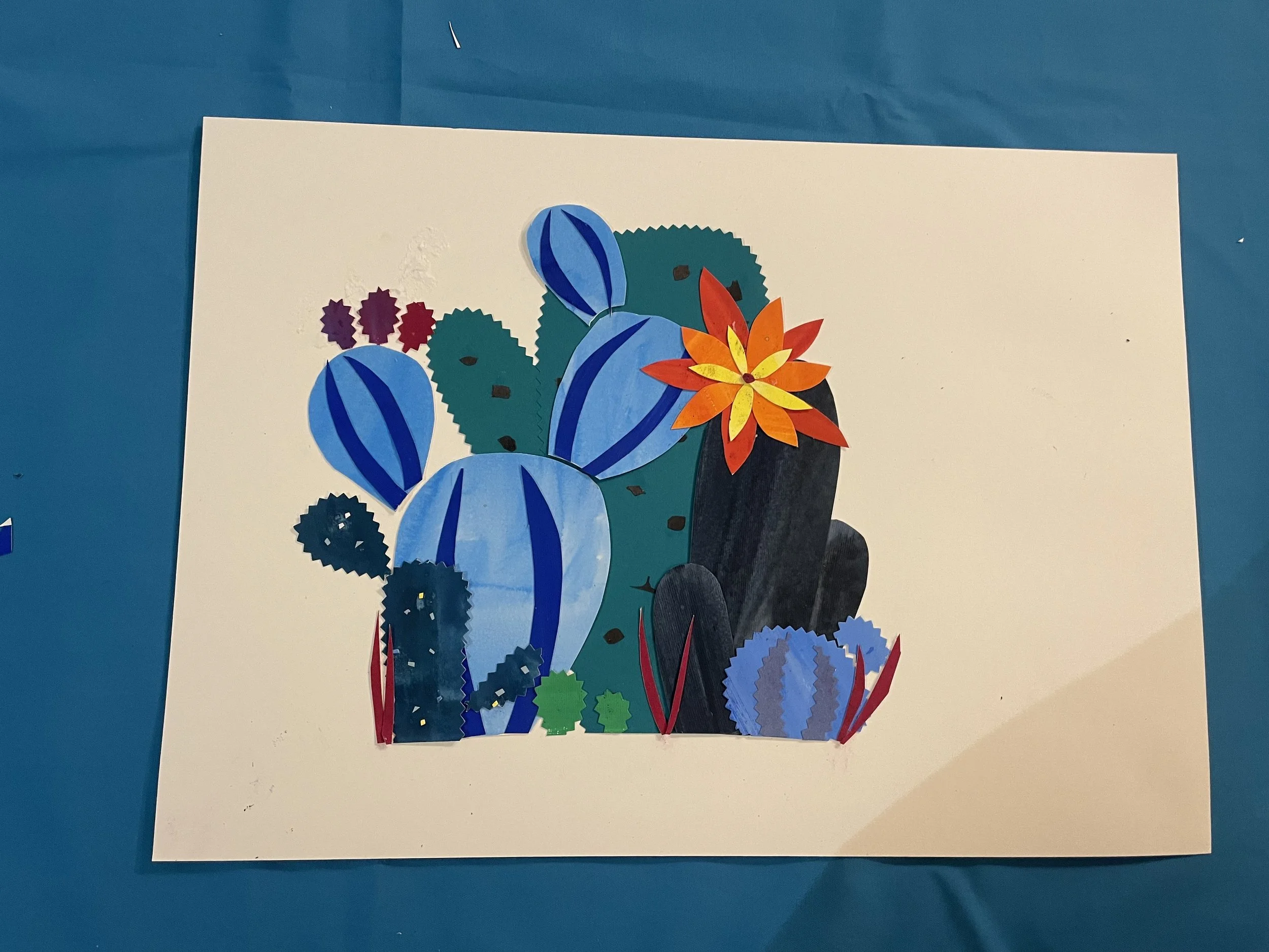 Workshop example - Cacti - Naomi Clarke.jpeg