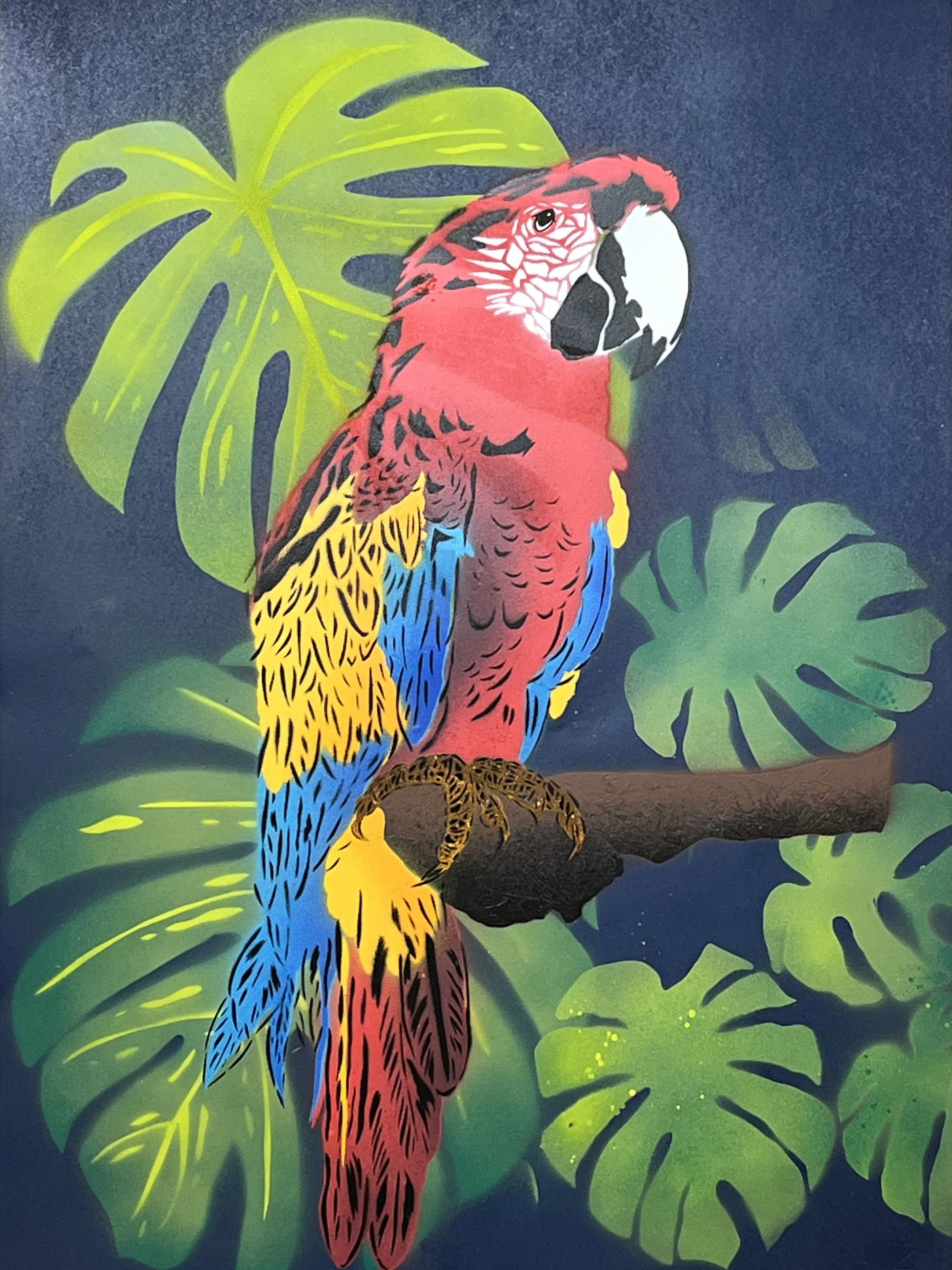 Noodle - Lost in Monstera - Carlo Petrosino.jpg