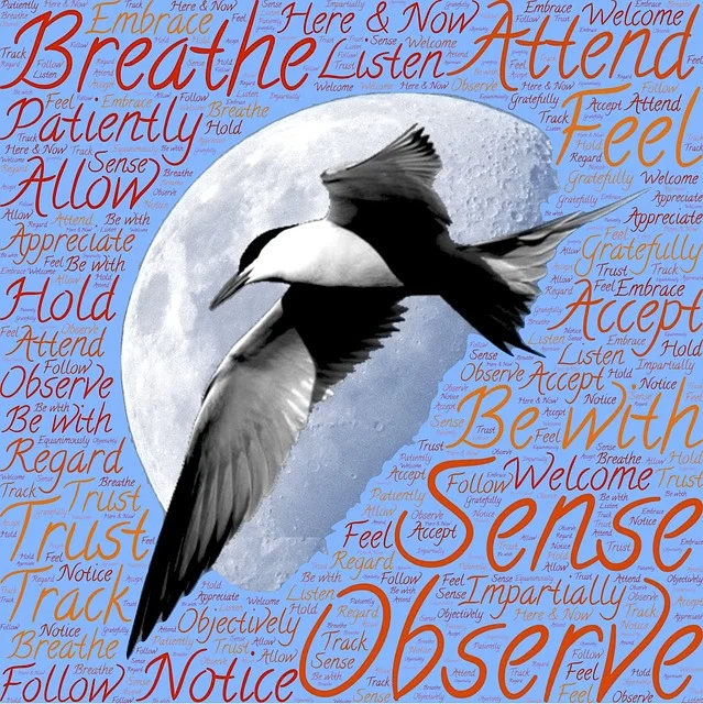 meditation-1023497_640.jpg