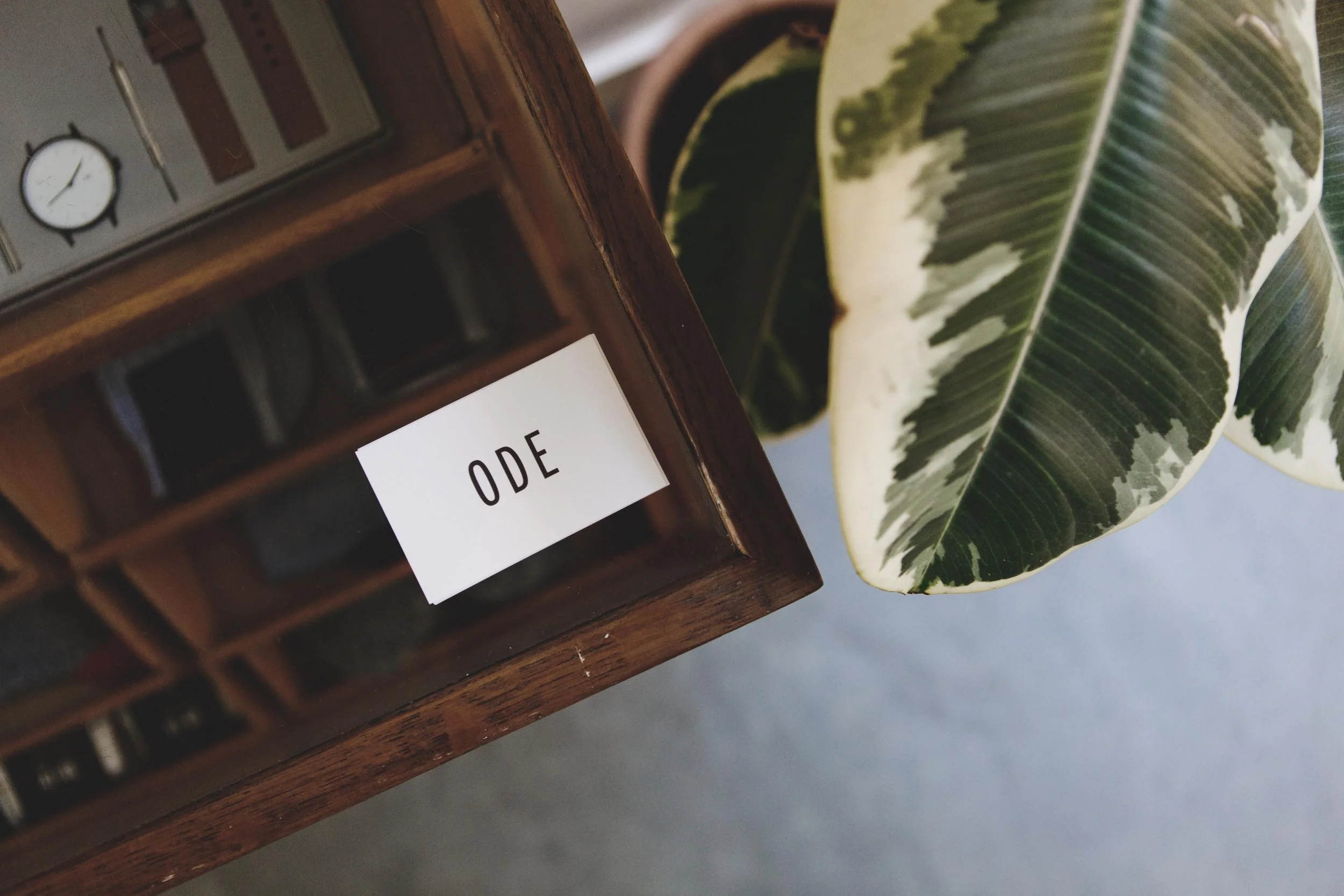 'our daily edit' for in clover magazine