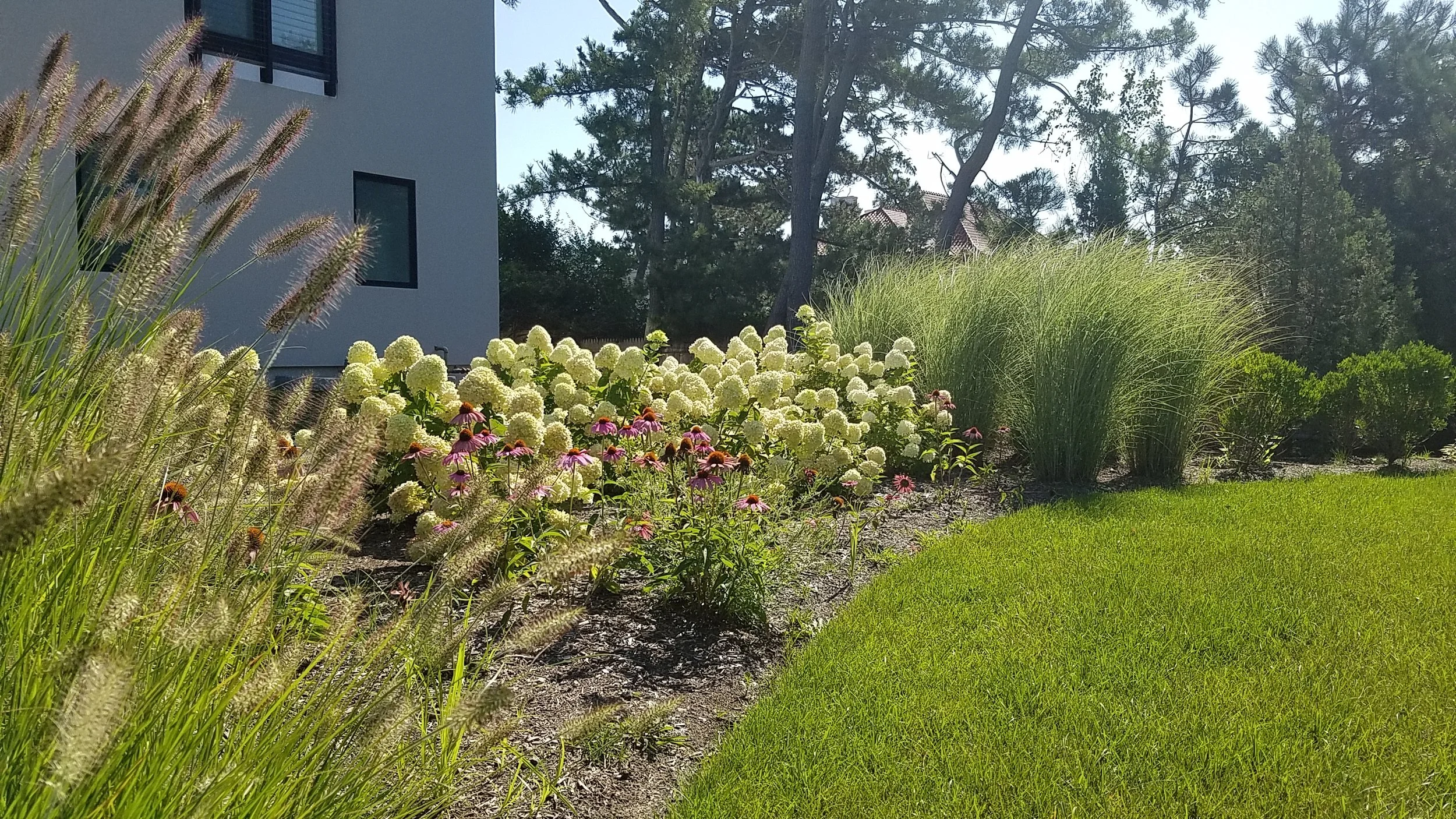 20170824_101736.jpg