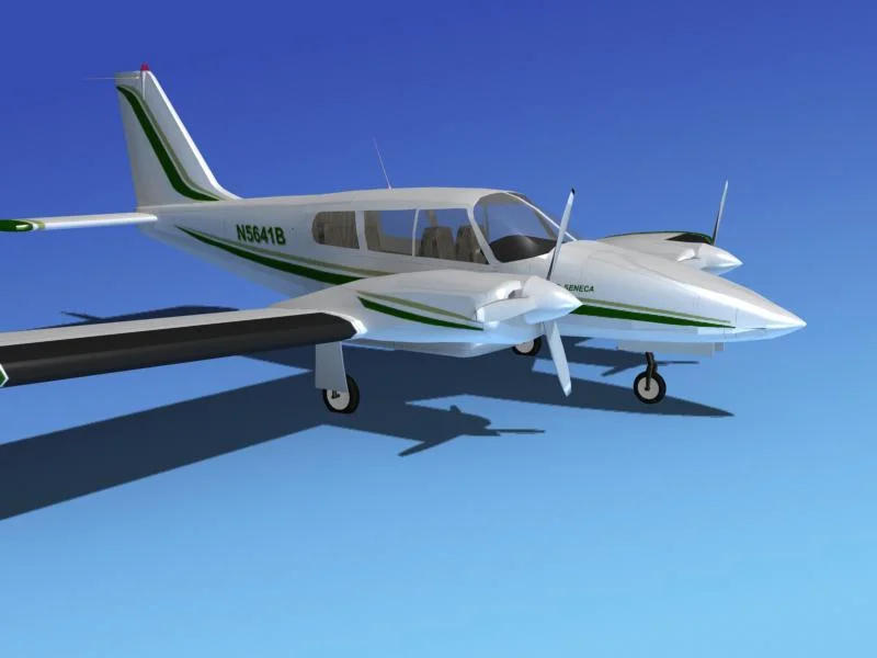 Piper Seneca