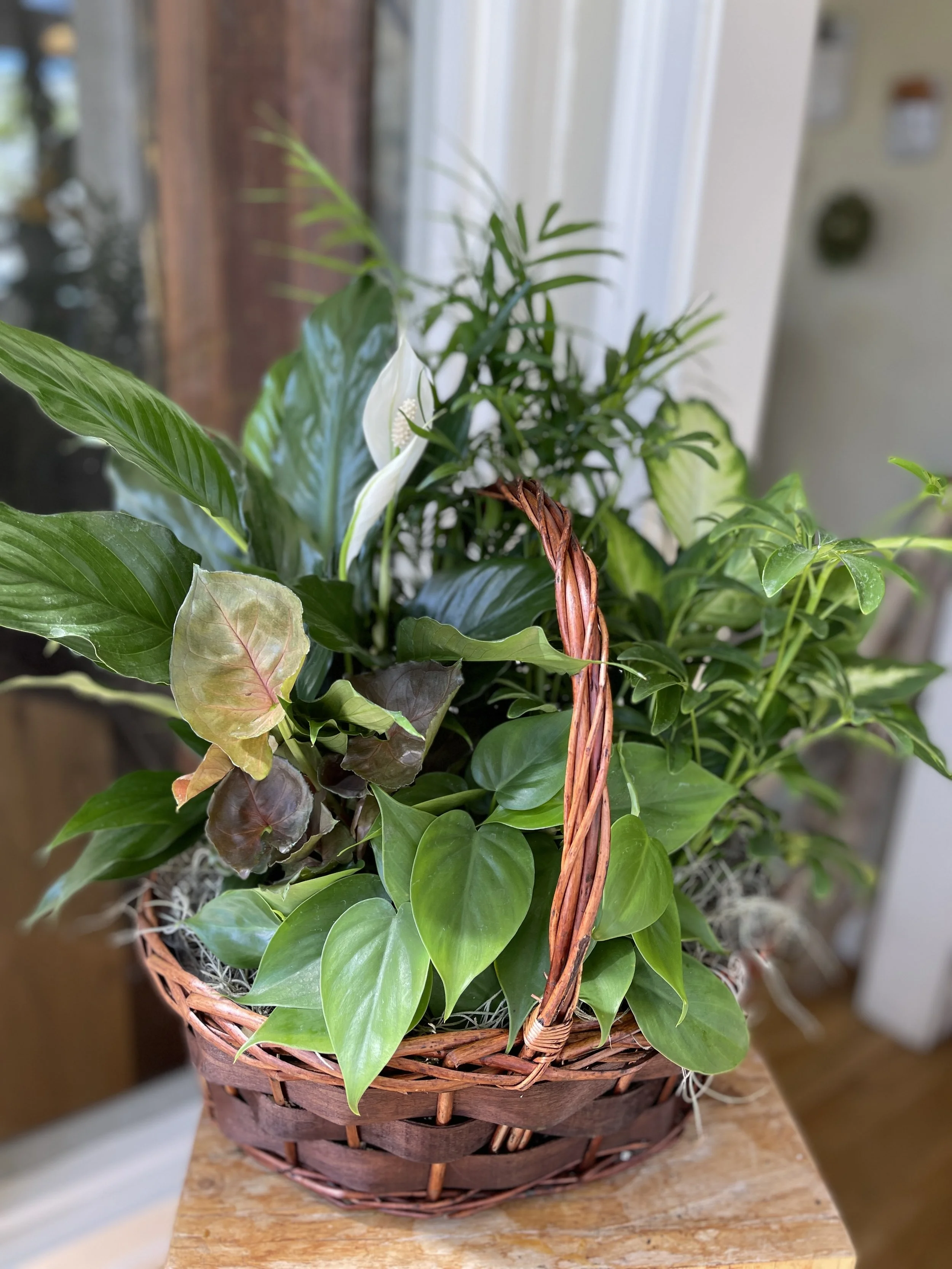 14%22 mixed planter.jpg