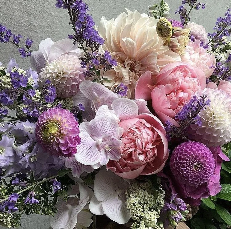 vday pastels in lavender.jpg