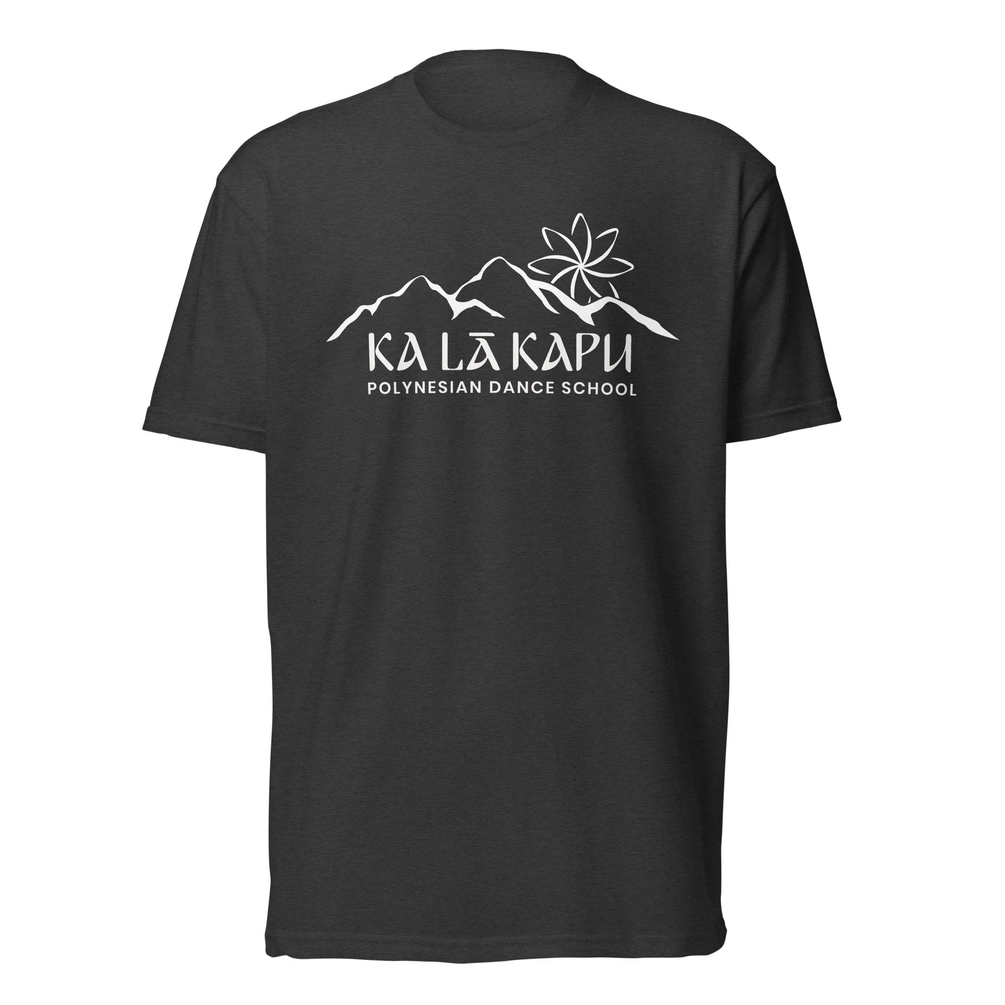 unisex-cvc-t-shirt-charcoal-front-6a24567fb5899.jpg