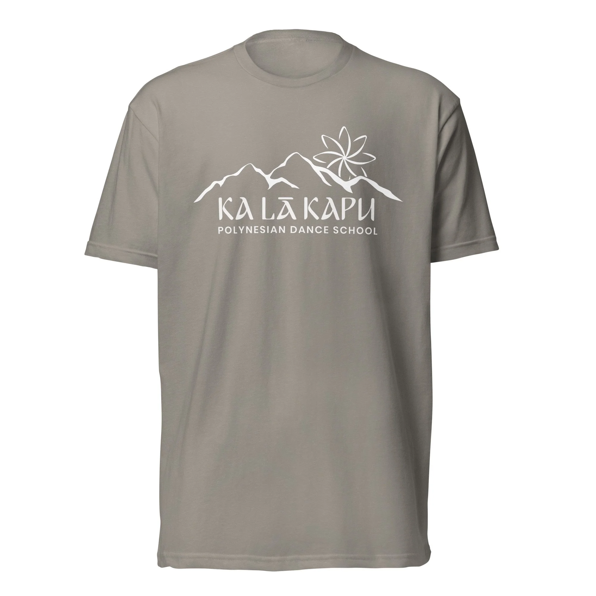 unisex-cvc-t-shirt-stone-grey-front-6a24567fb5bcb.jpg