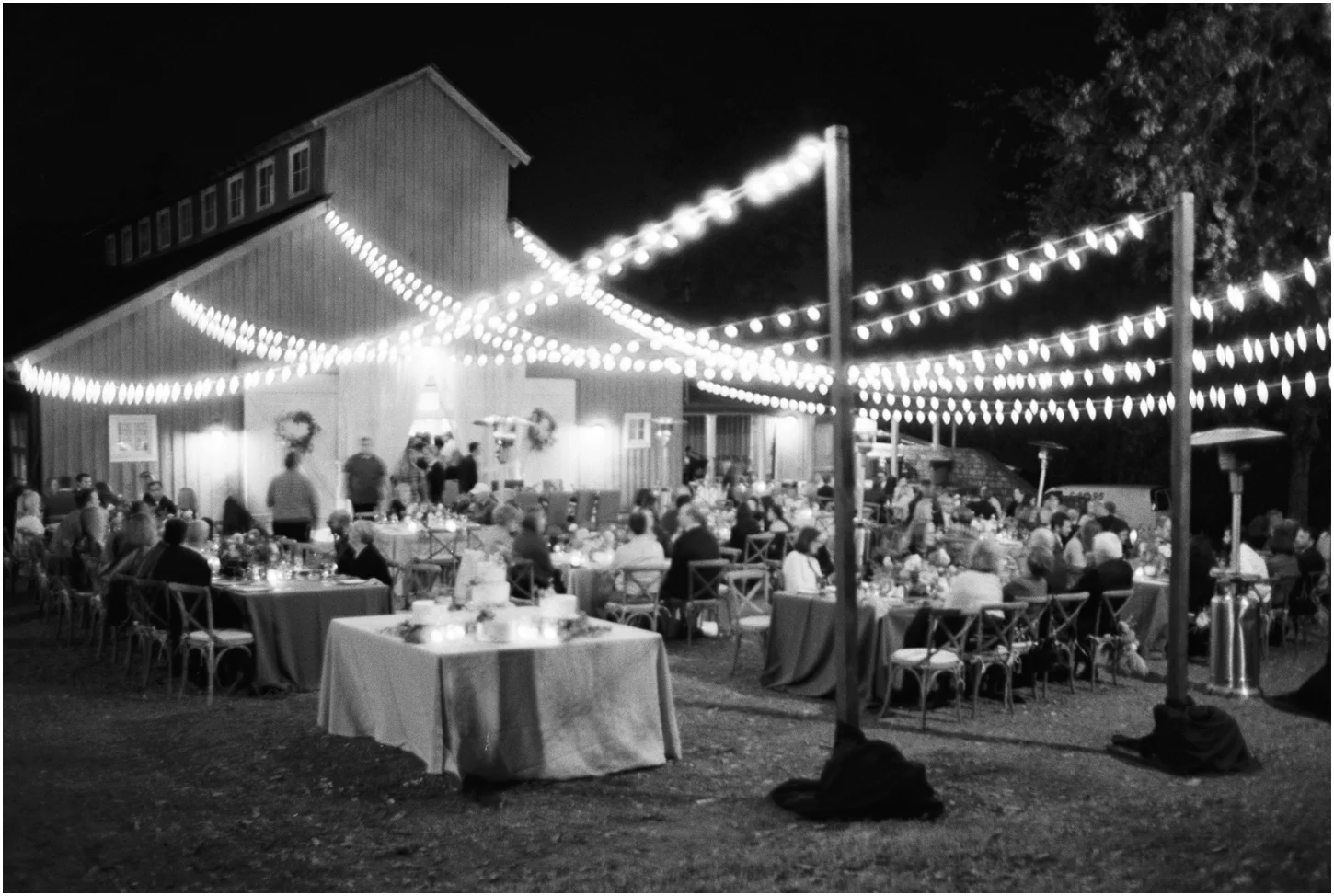 Outdoor reception under twinkle lights