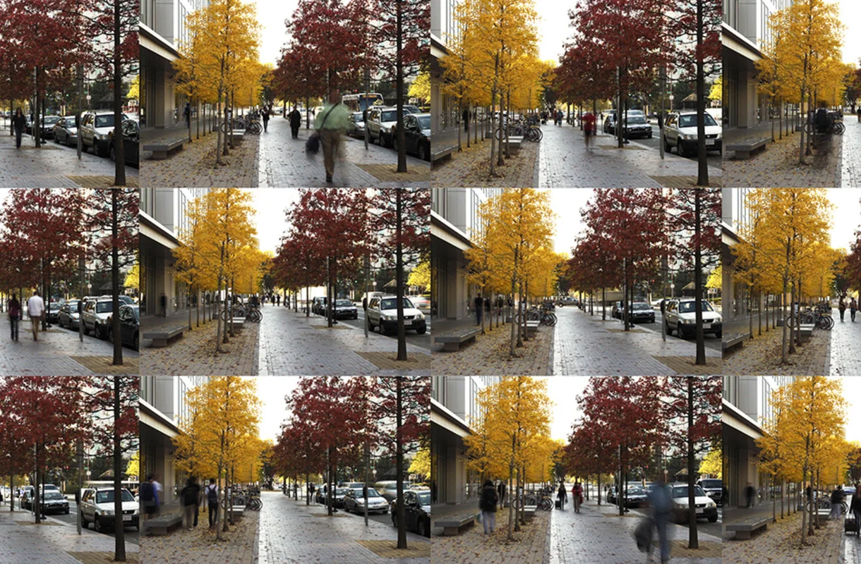 grid-of-still-photos_sgedit2.jpg