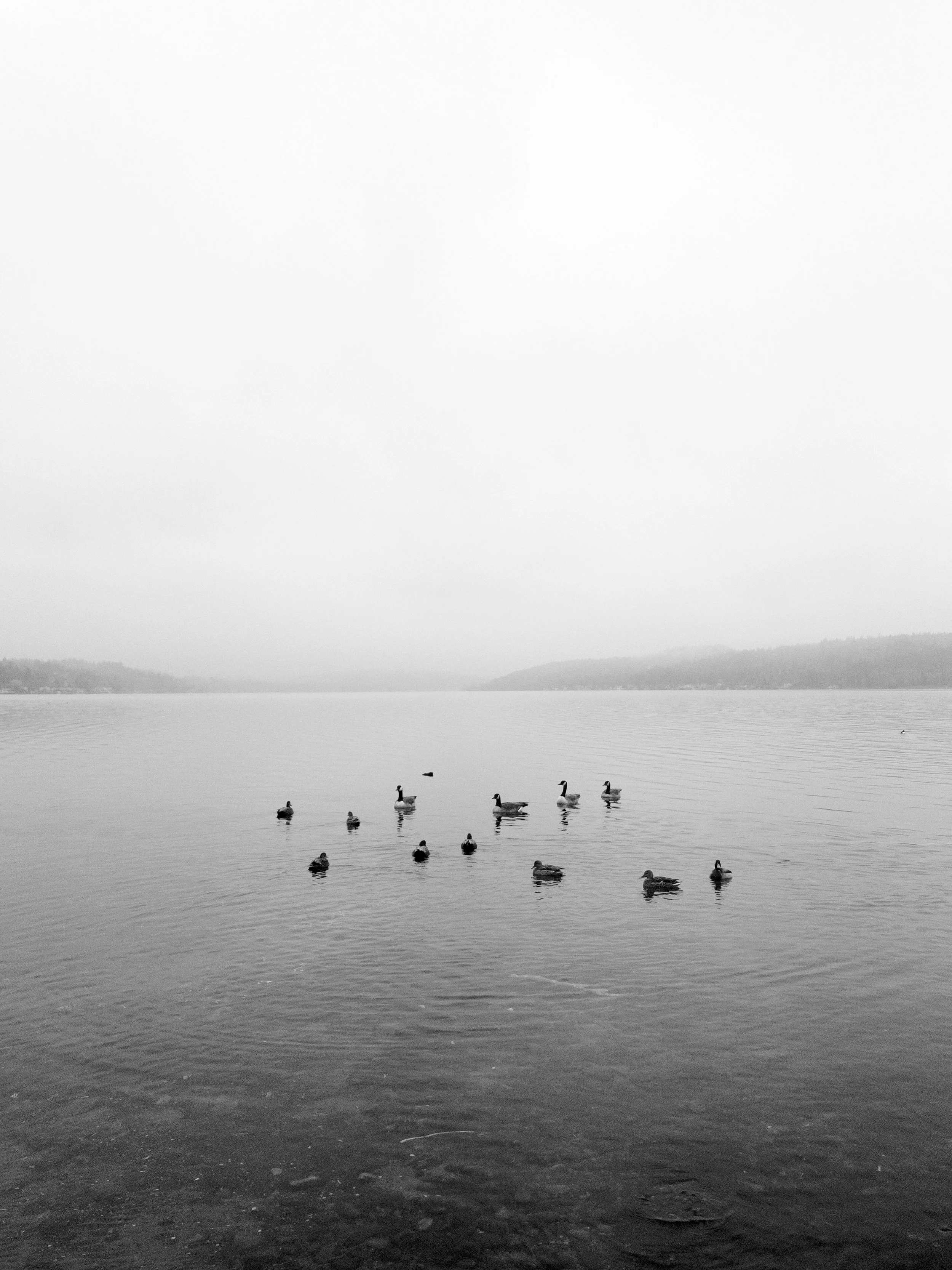Magnuson Park, Seattle, WA | iPhone 7 Plus