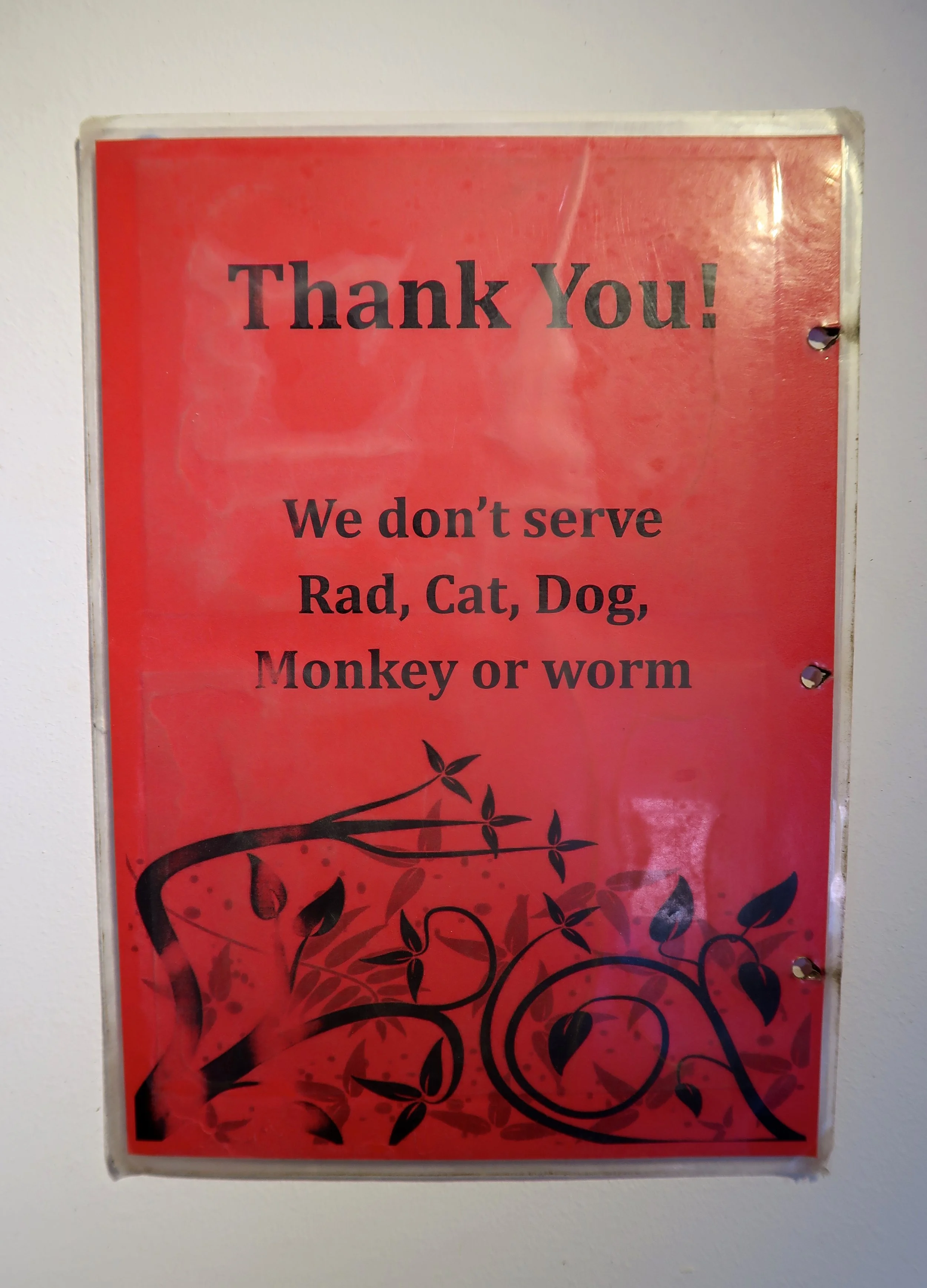 RAD, CAT, DOG, MONKEY OR WORM