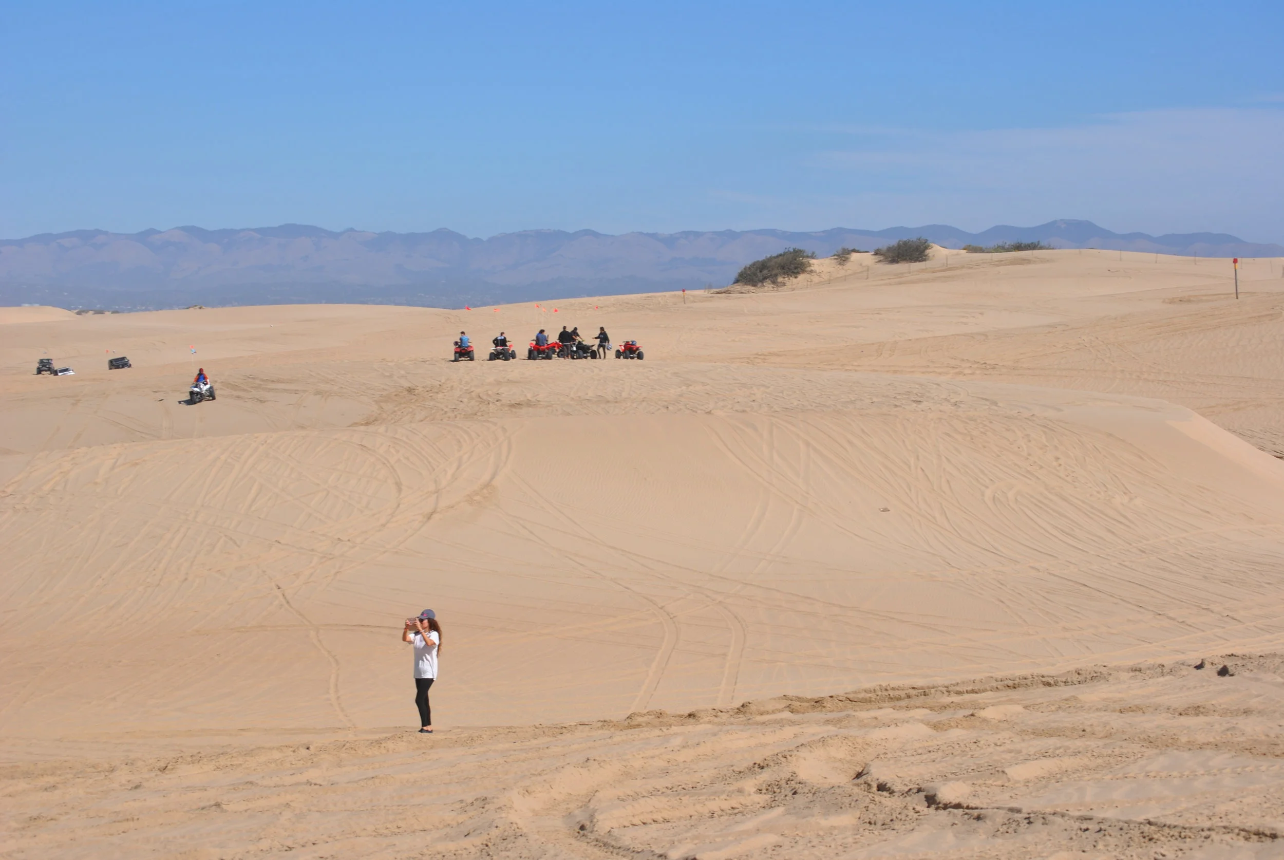 DSC_0311.JPG