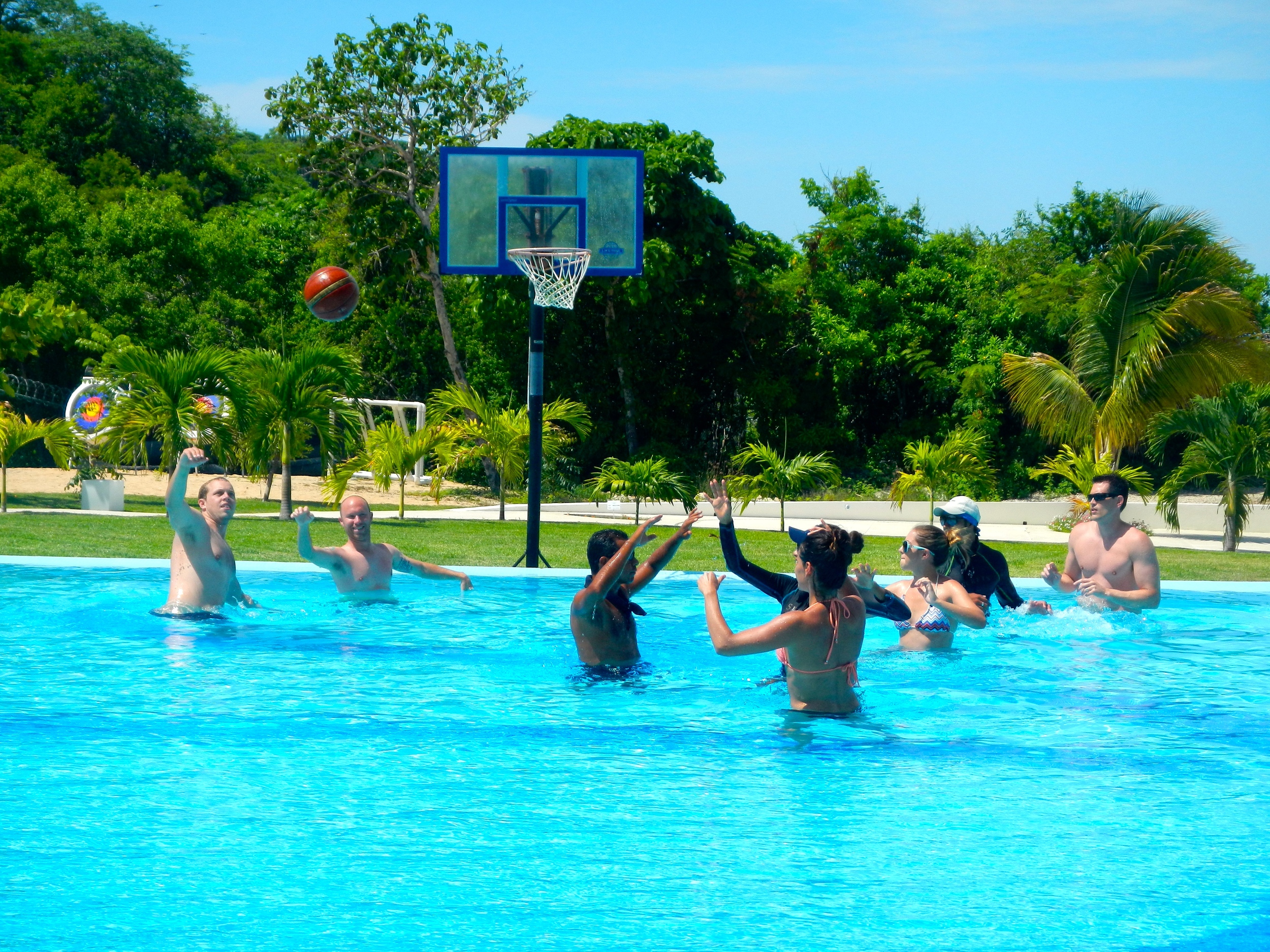 Pool Basketball