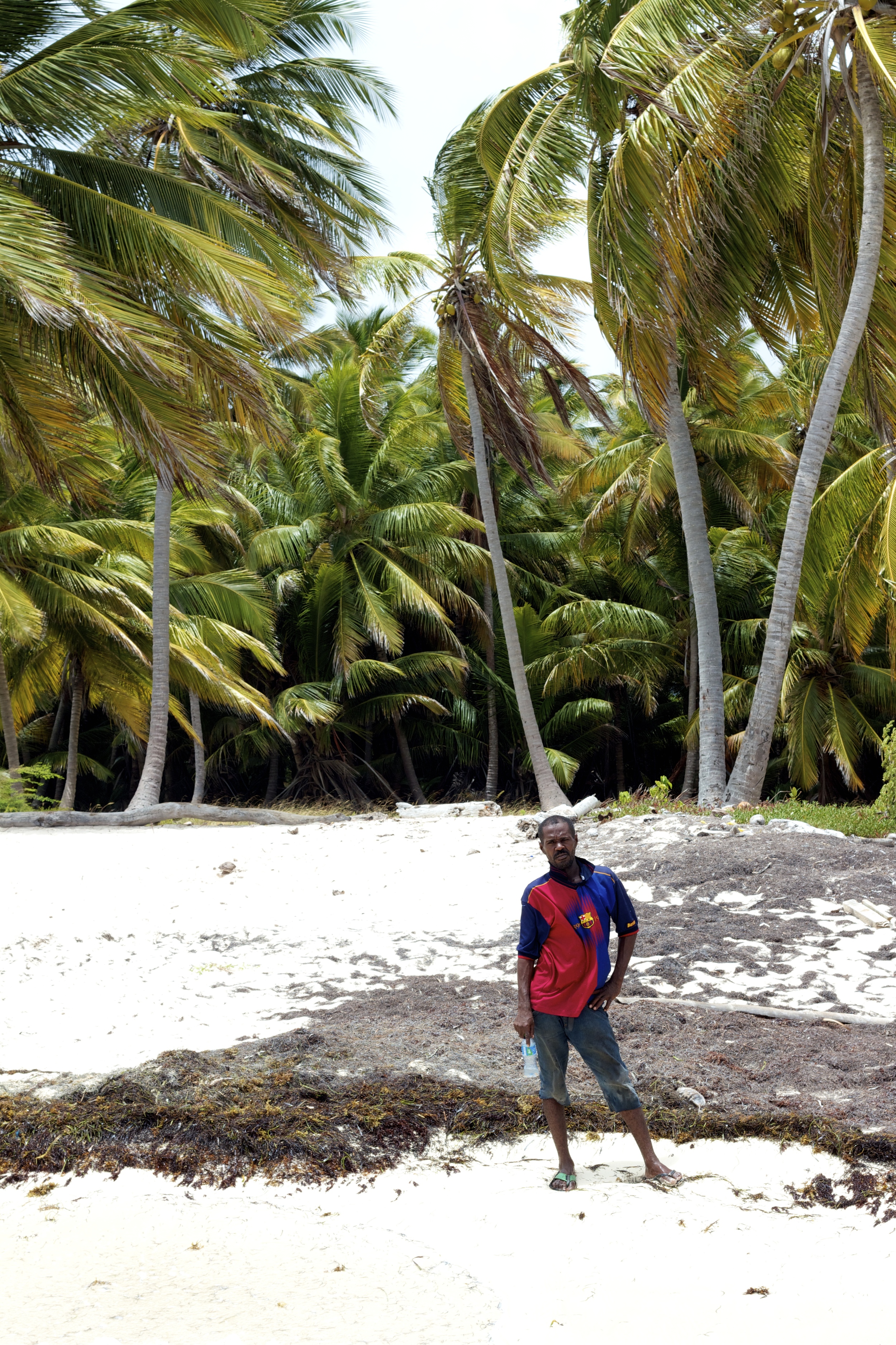 Coconut Man