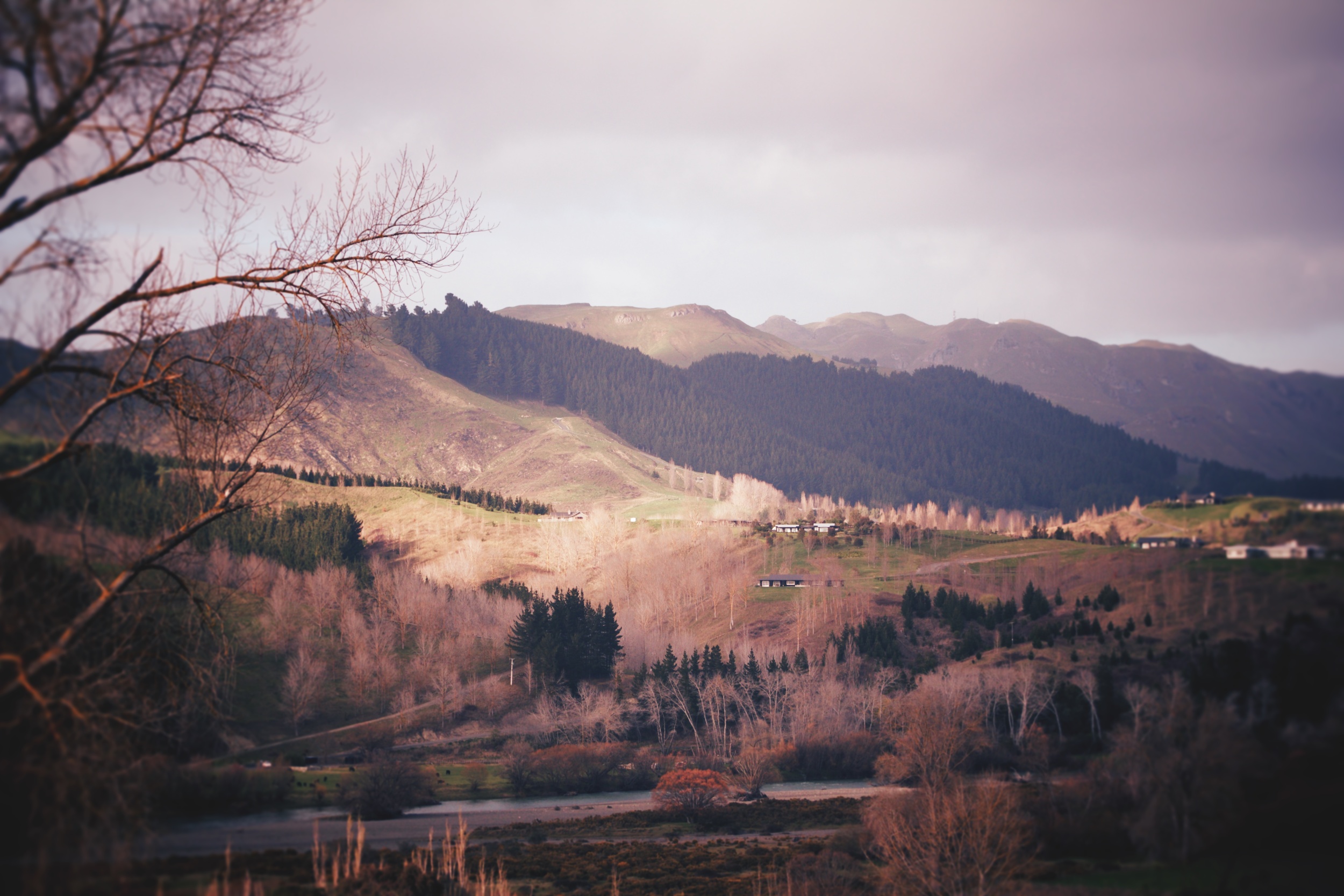 Looking out at Tuki Tuki Valley from the front door