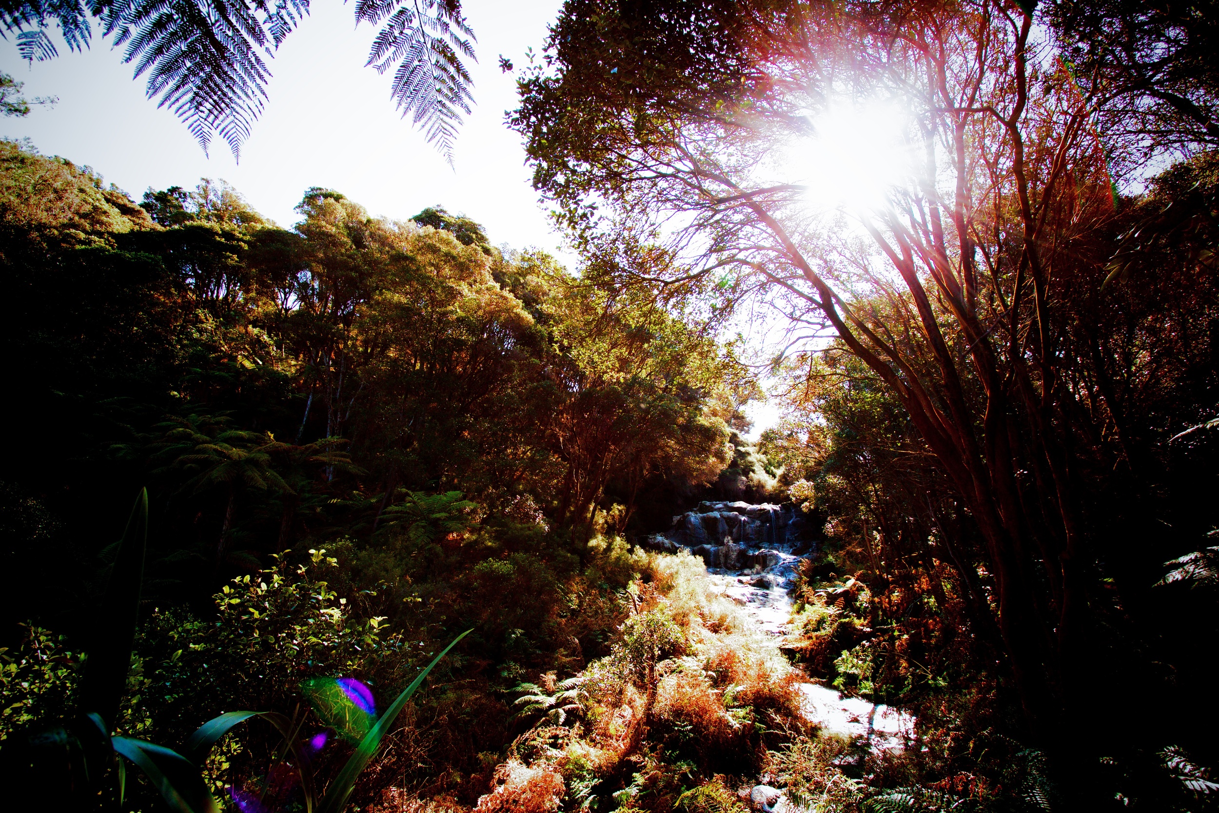 Kakahi Falls, Hells Gate Geothermal Park & Mud Spa