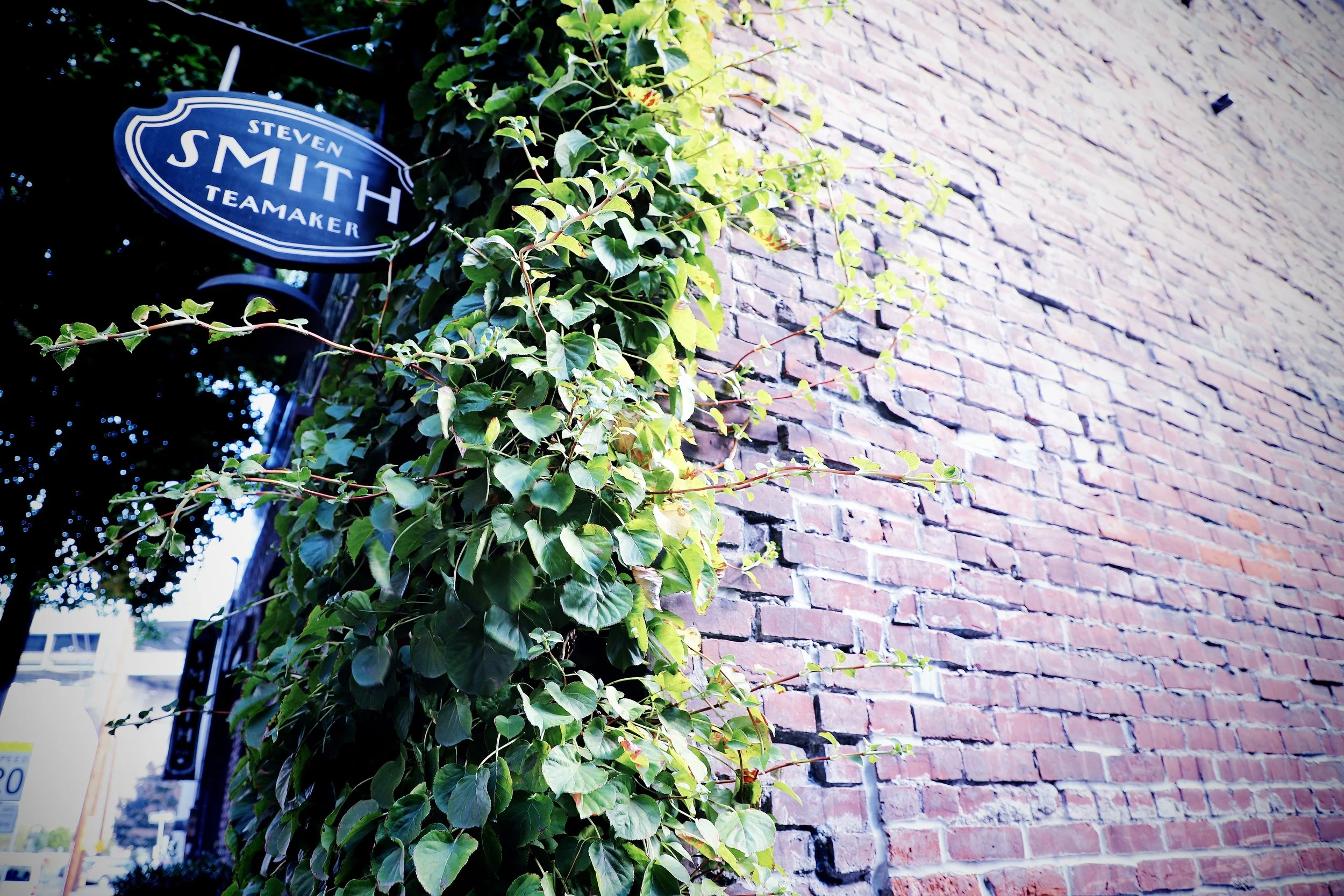 IMG_0114x Smith Tea.jpg