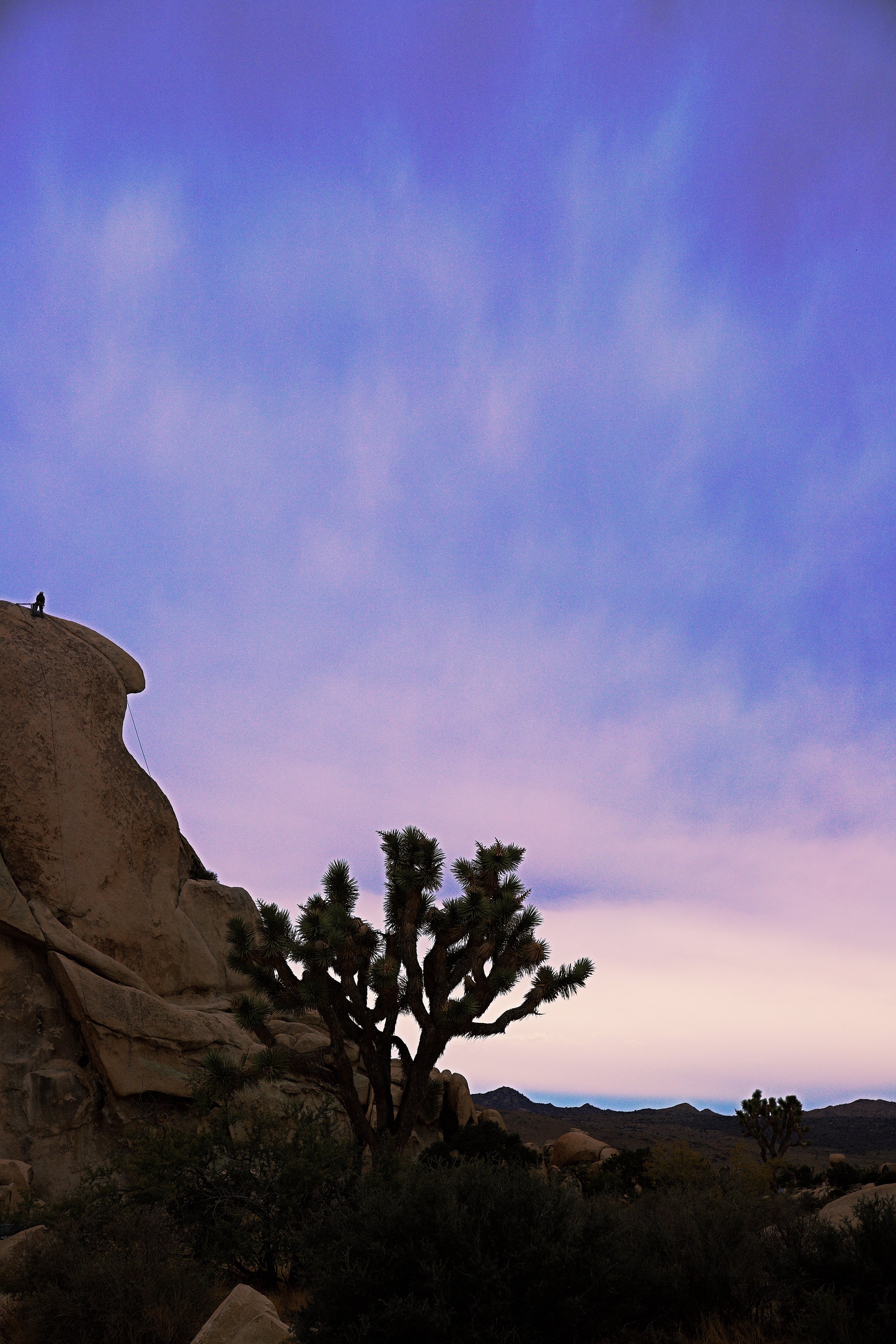 IMG_7477_x joshua tree2.jpg