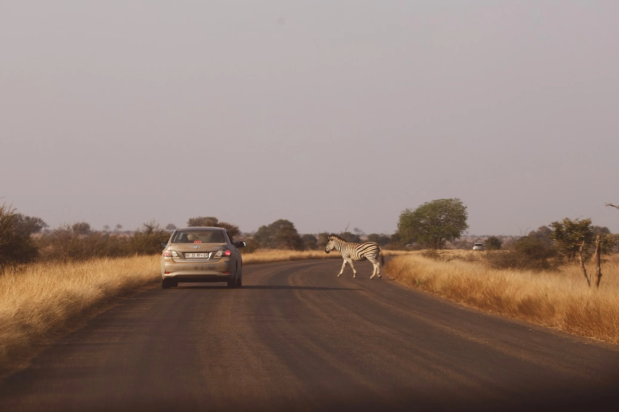 Kruger National Park