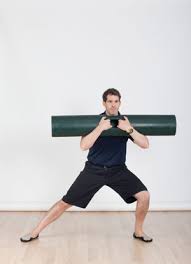  12kg ViPR