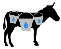 DONKEYS