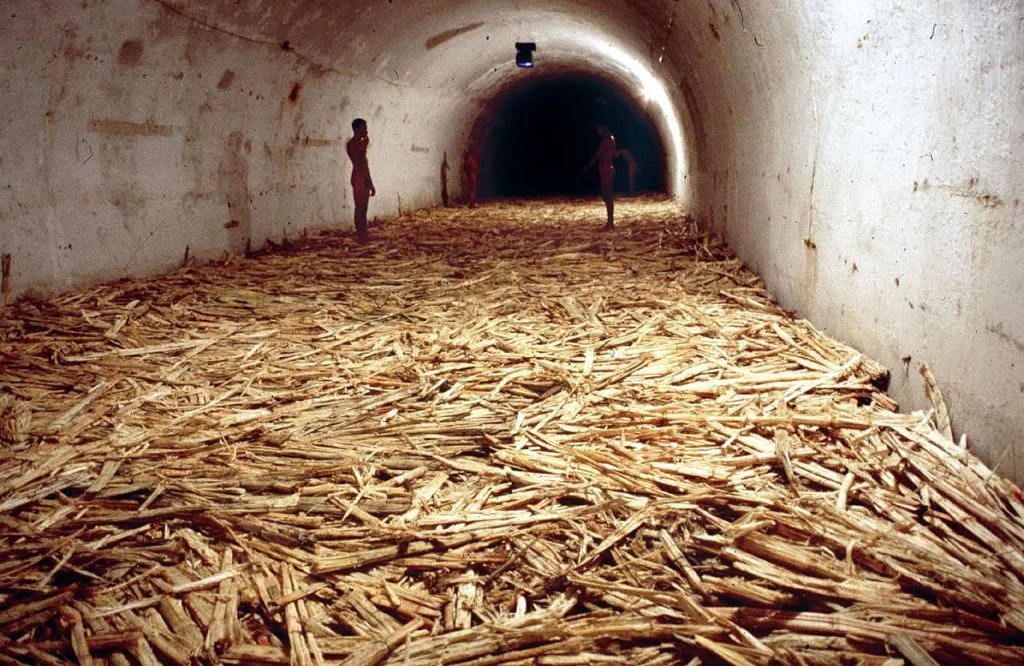 Tania Bruguera, “Untitled (Havana)” (2000)