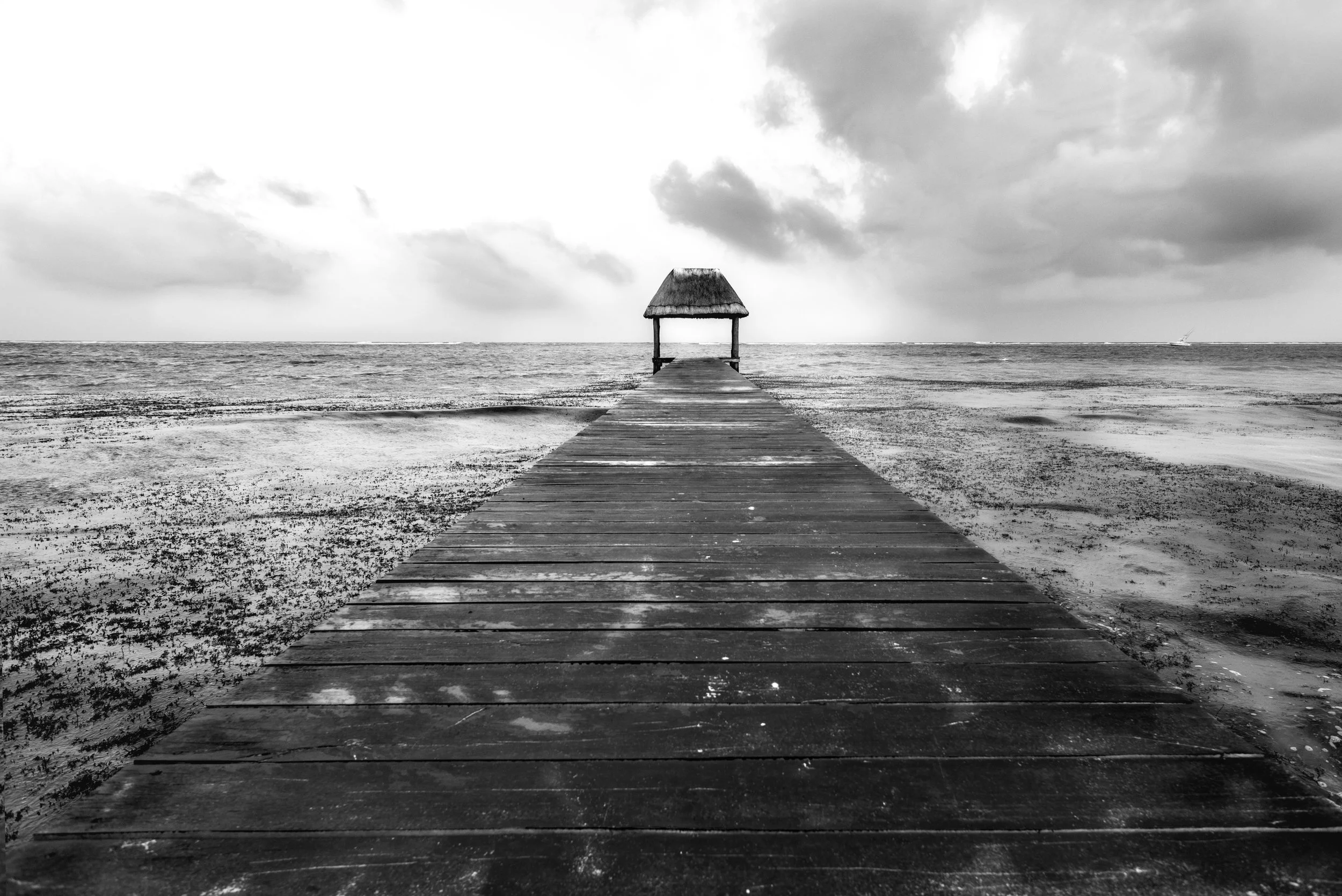 jme_060314_0090-Editar-Editar-1.JPG