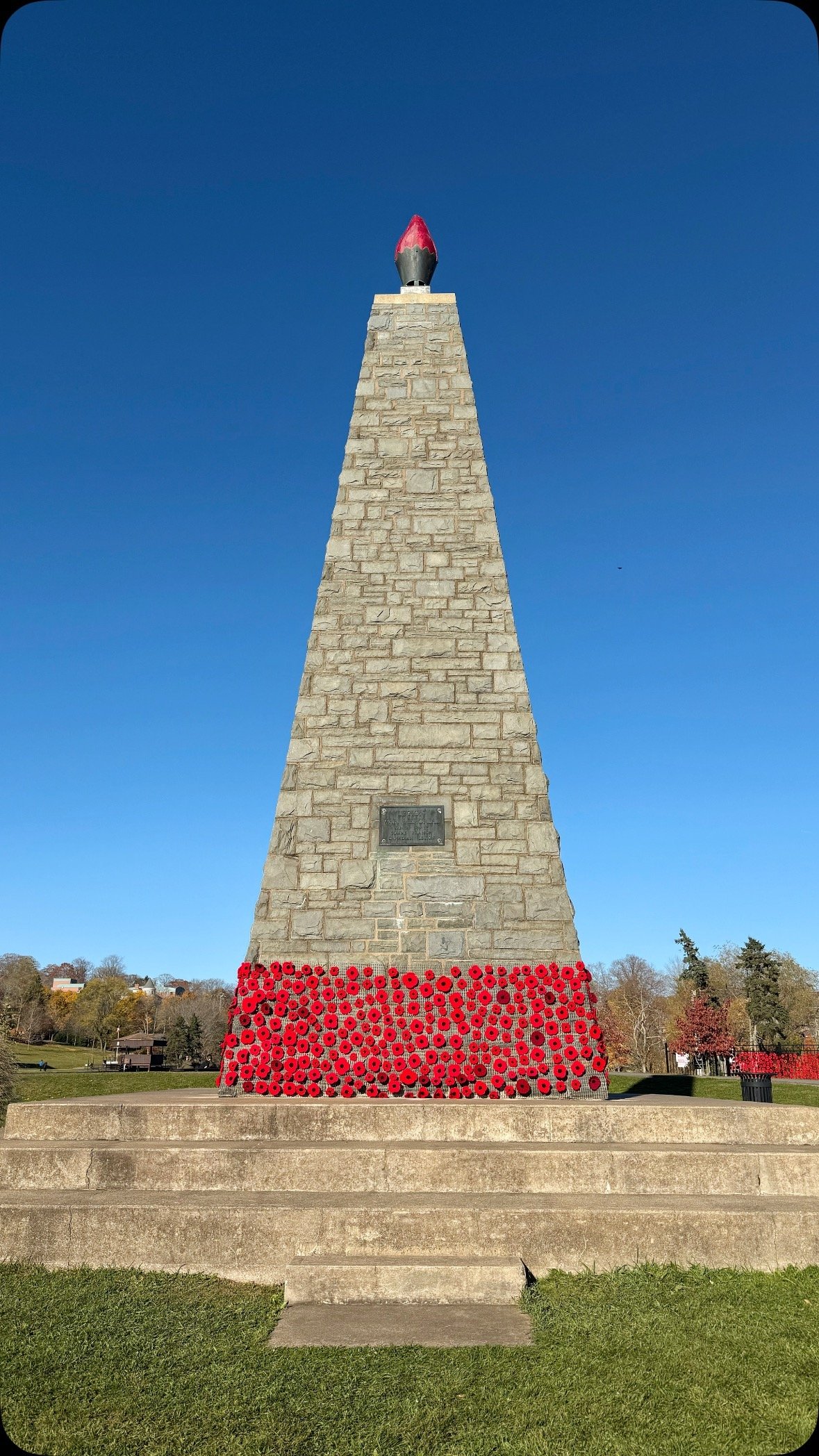 🌺 Lest we forget.🌺