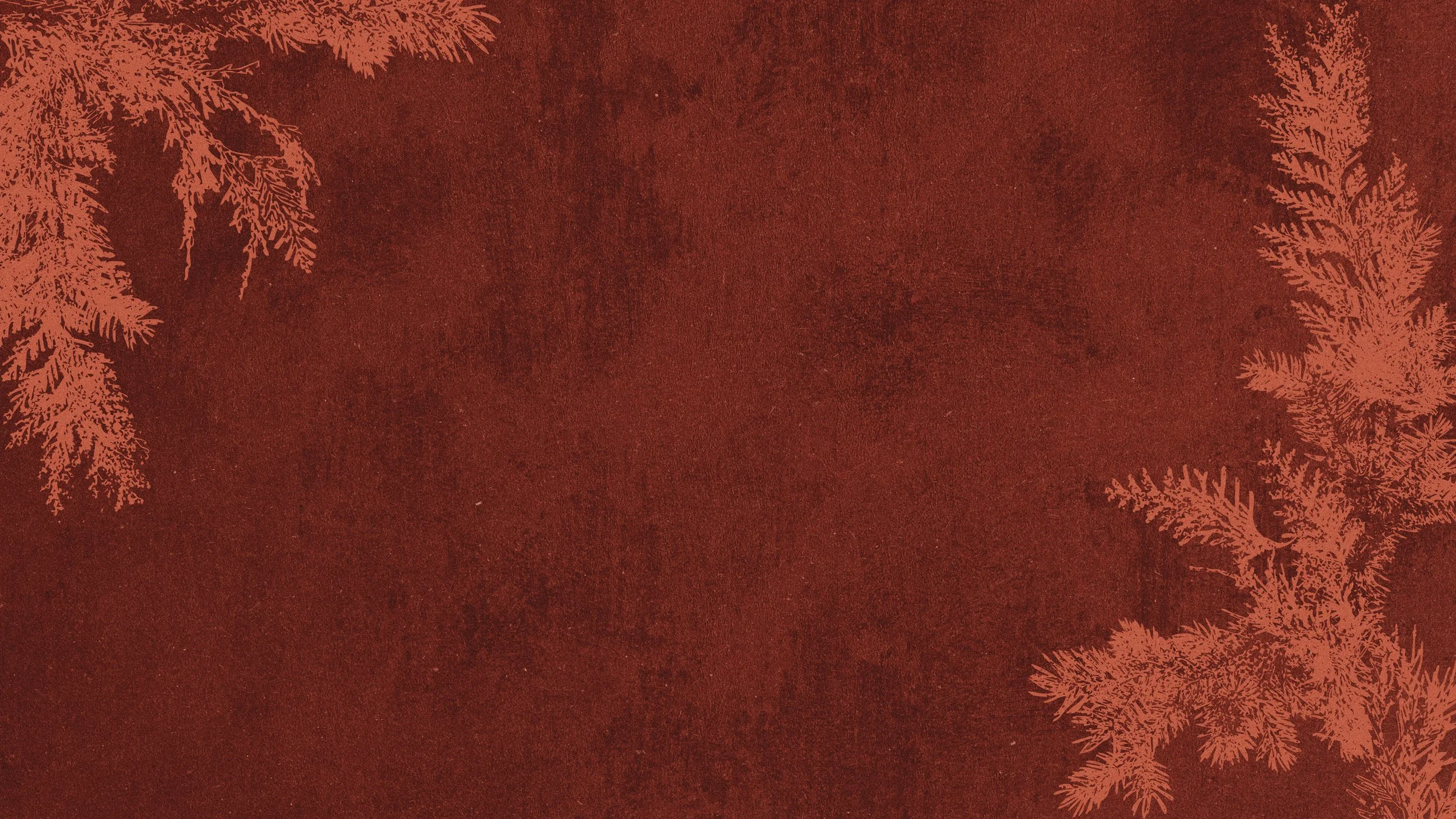 Website Header copy.jpg