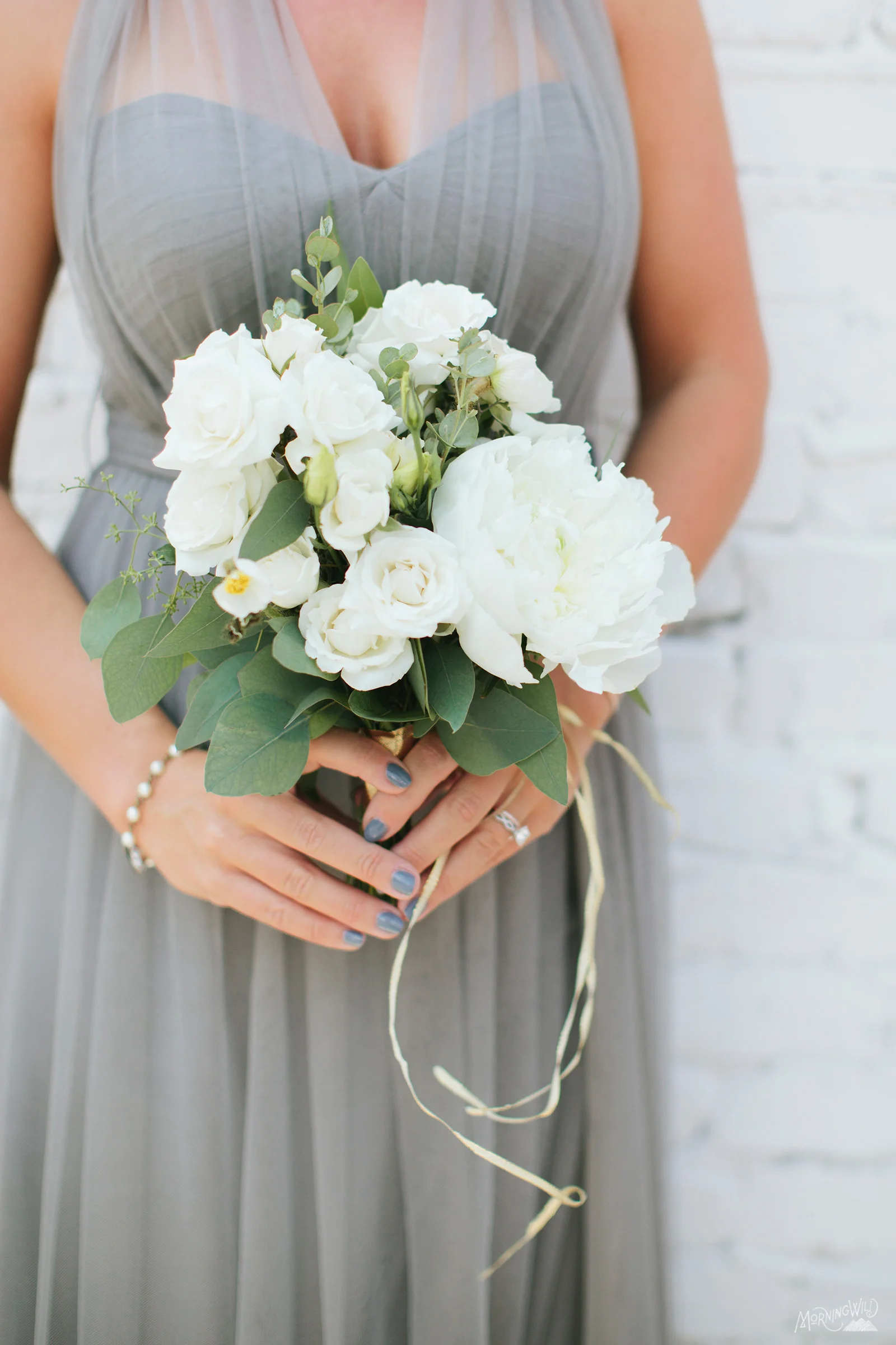  Morning Wild Photography 