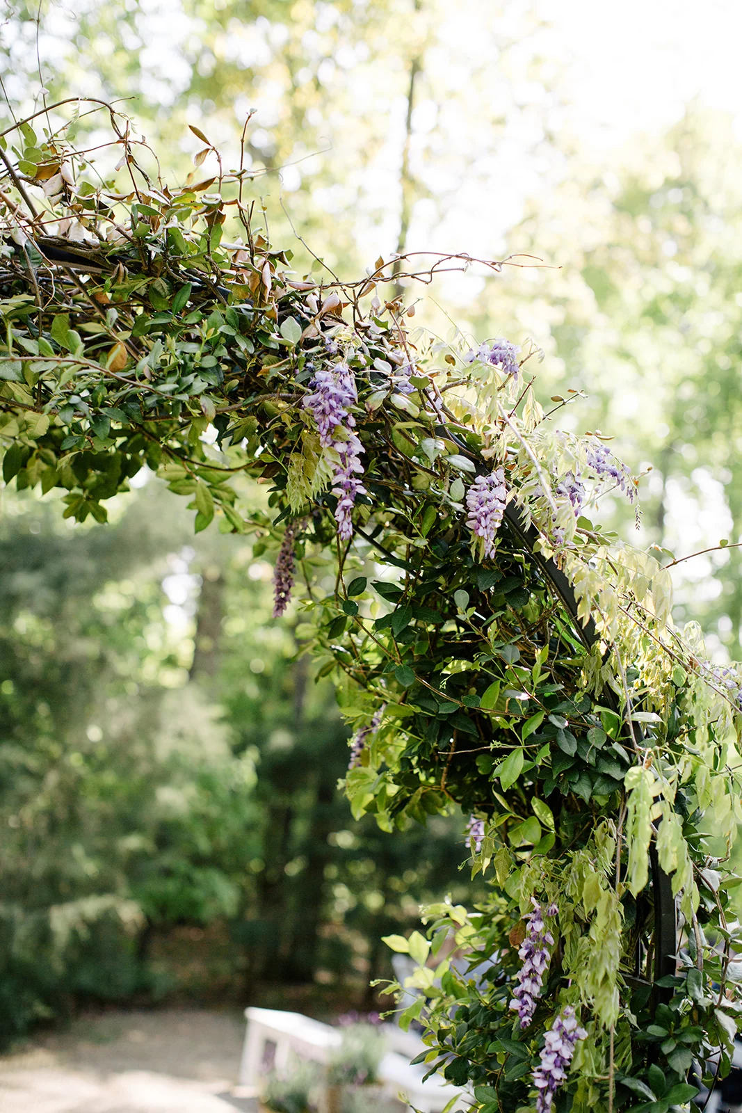 Cameron Faye Photography