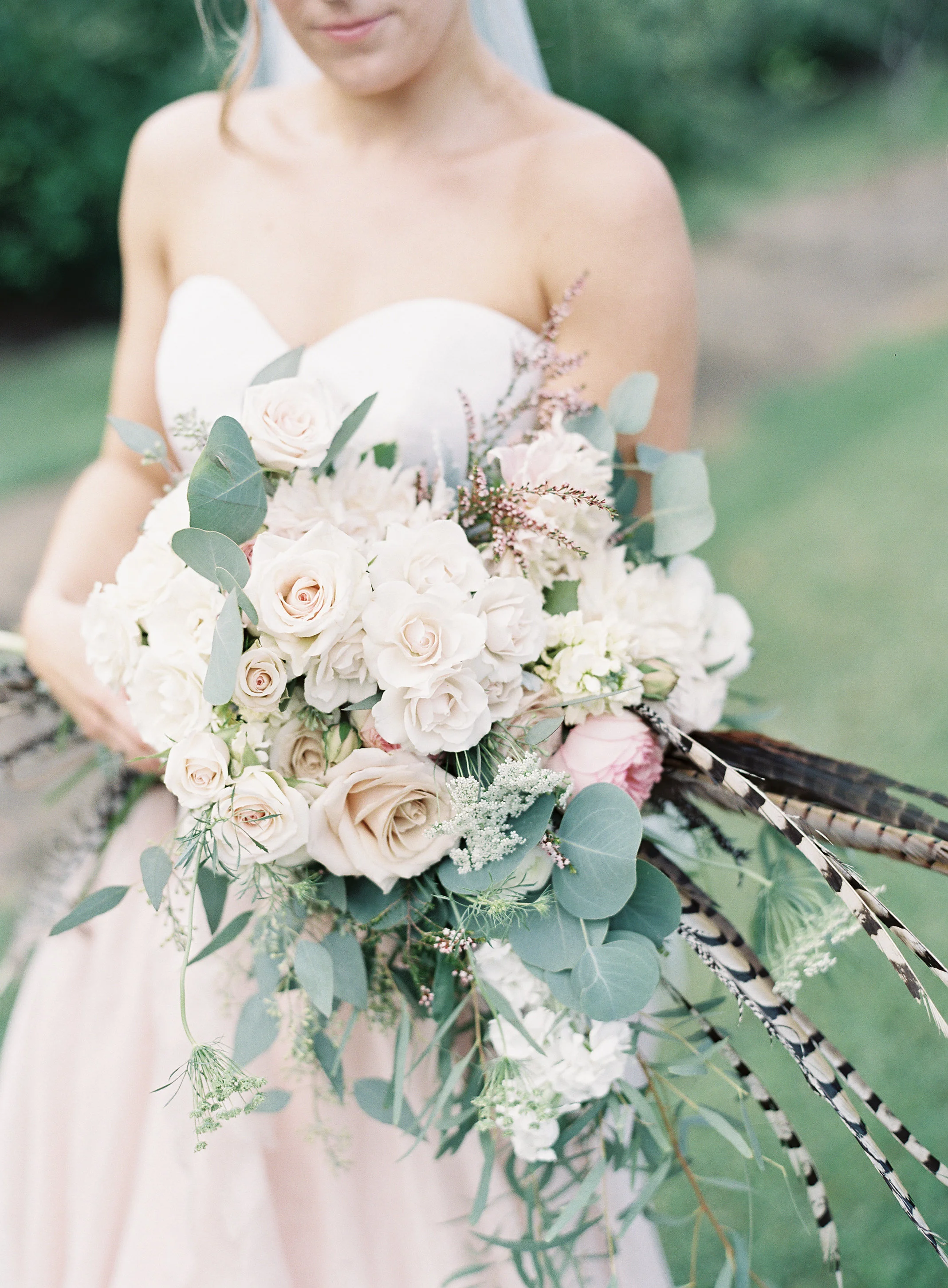 Allison Kuhn Photography