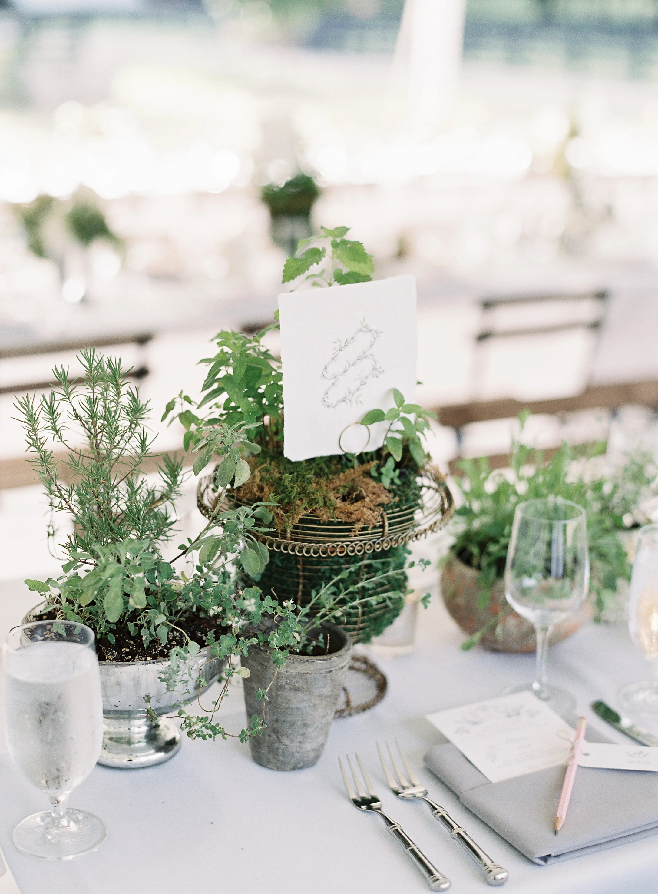 Allison Kuhn Photography