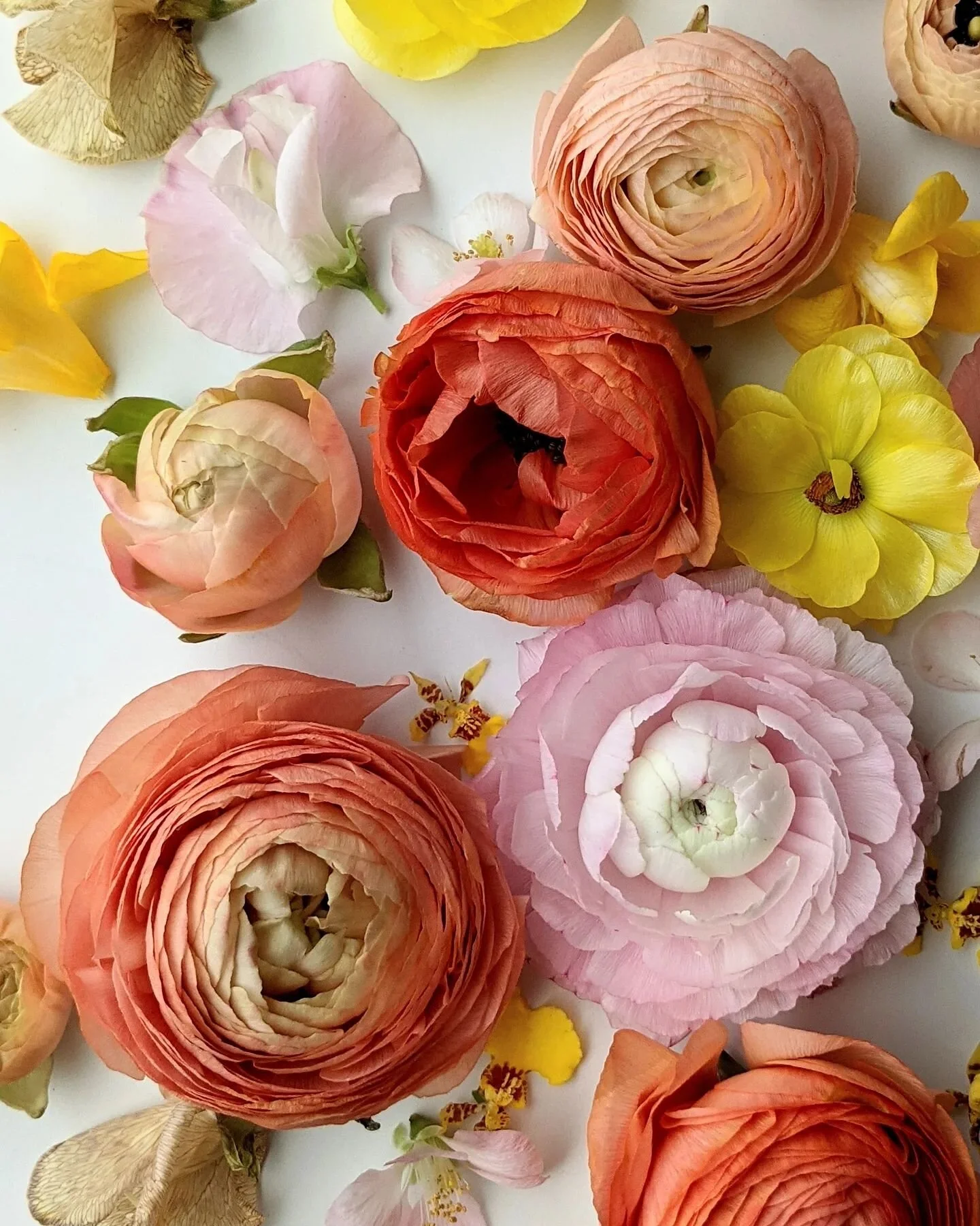 Contact NECTAR Charlotte Florist