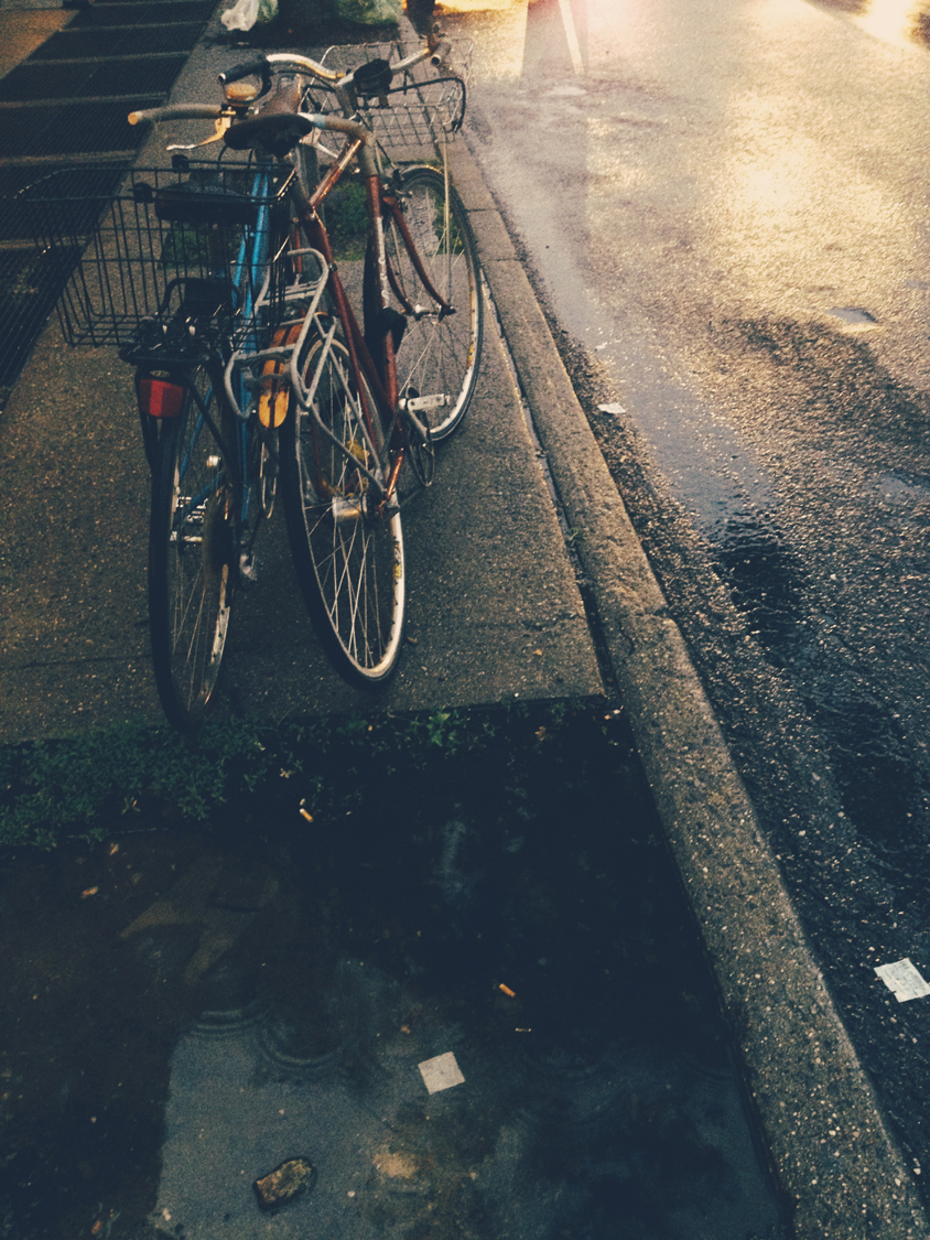 SQ.vsco.IMG_1741.jpeg
