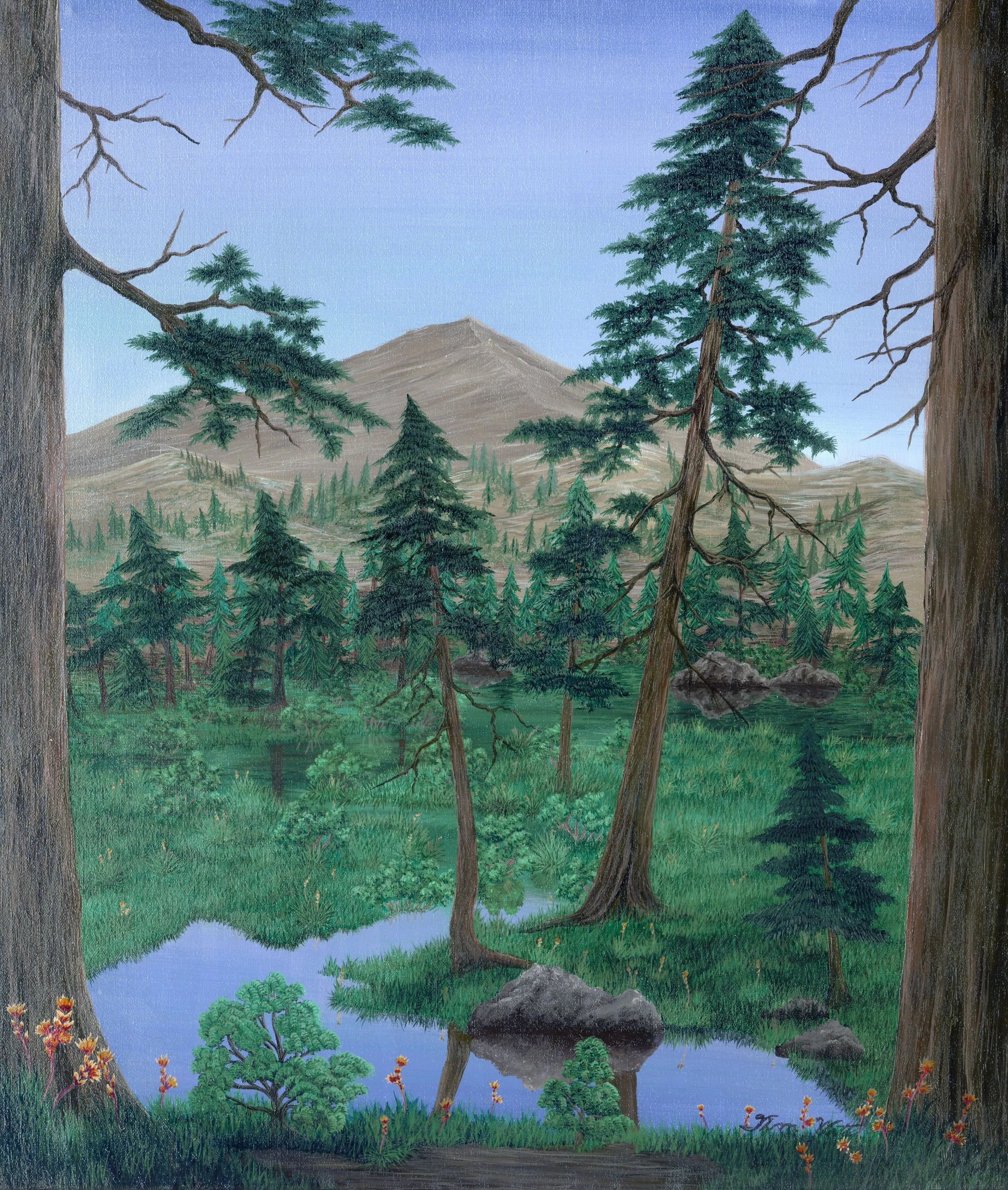 Mountain Meadow.jpg