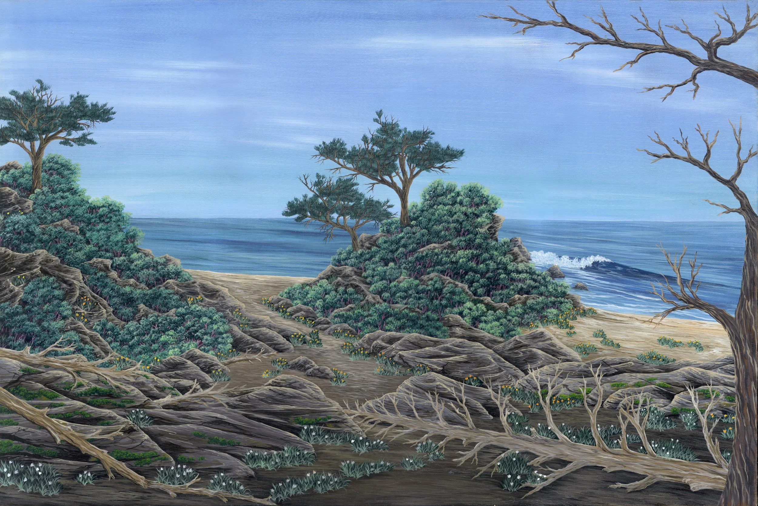 The Oregon Coast small.jpg