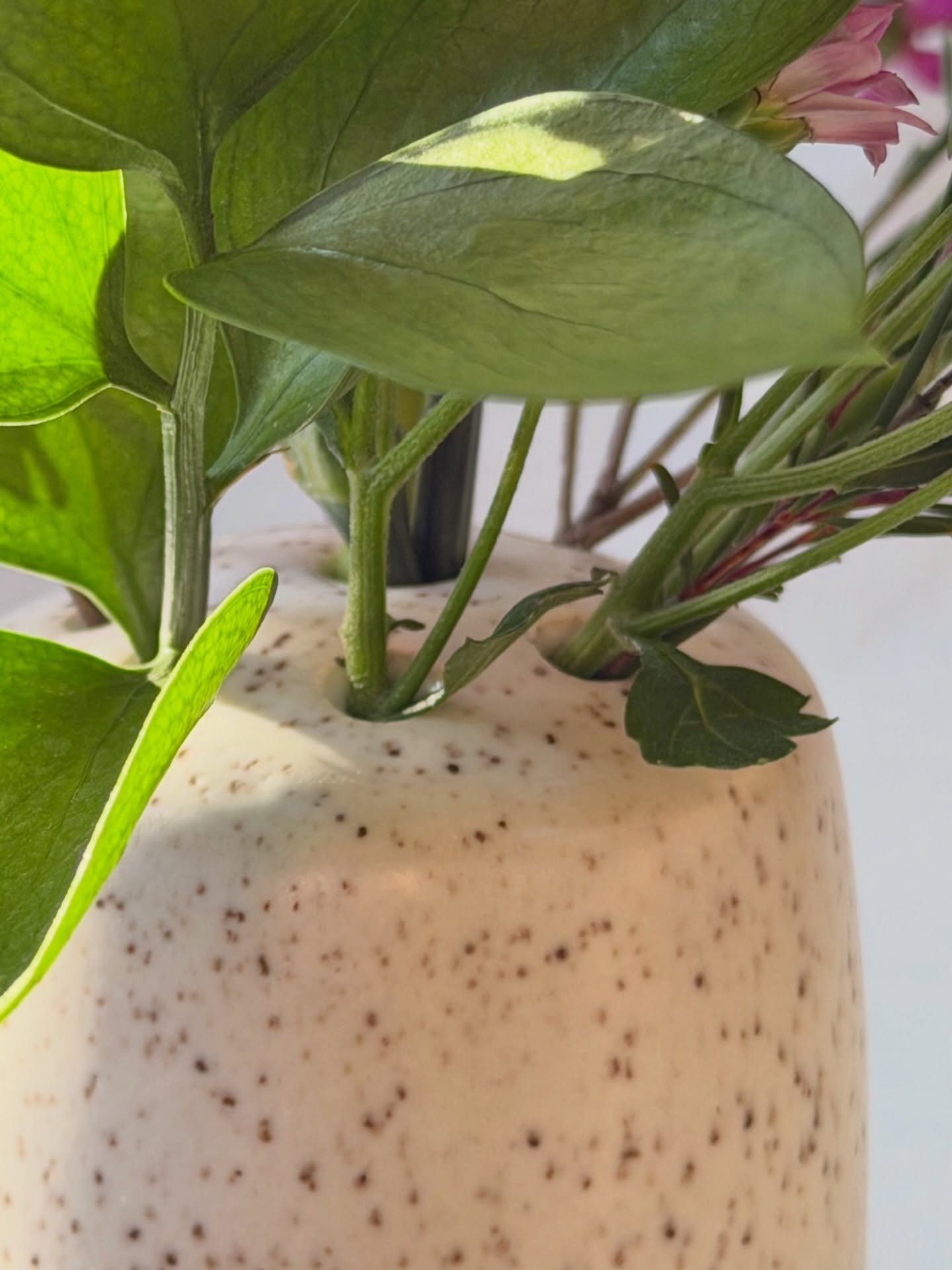 Flower frogs in B-Mix with Speckles clay.
Finished in a soft matte white glaze, designed to hold each stem with intention.

#handmadewithlove #wheelthrownceramics #sabineceramics