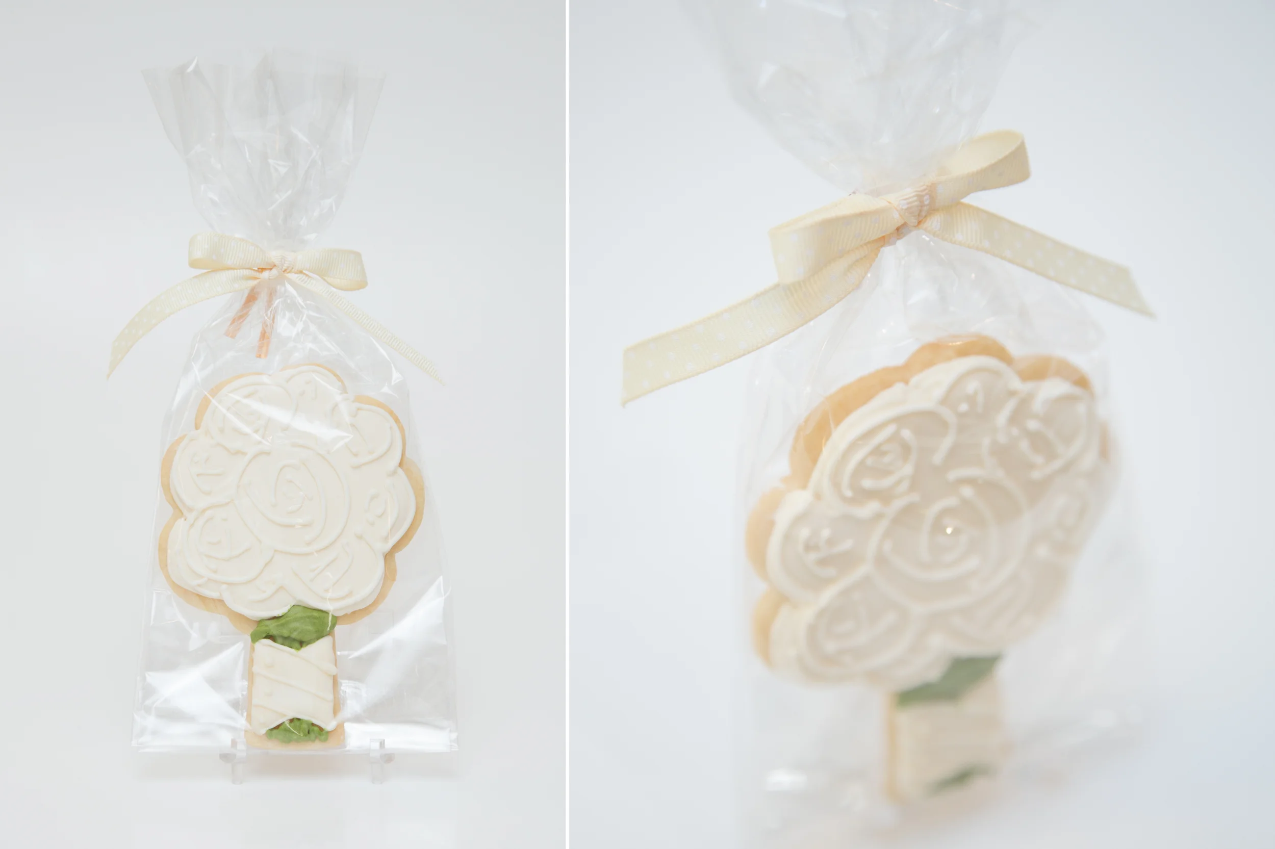 Cellophane Bag with Ribbon and Twist Tie