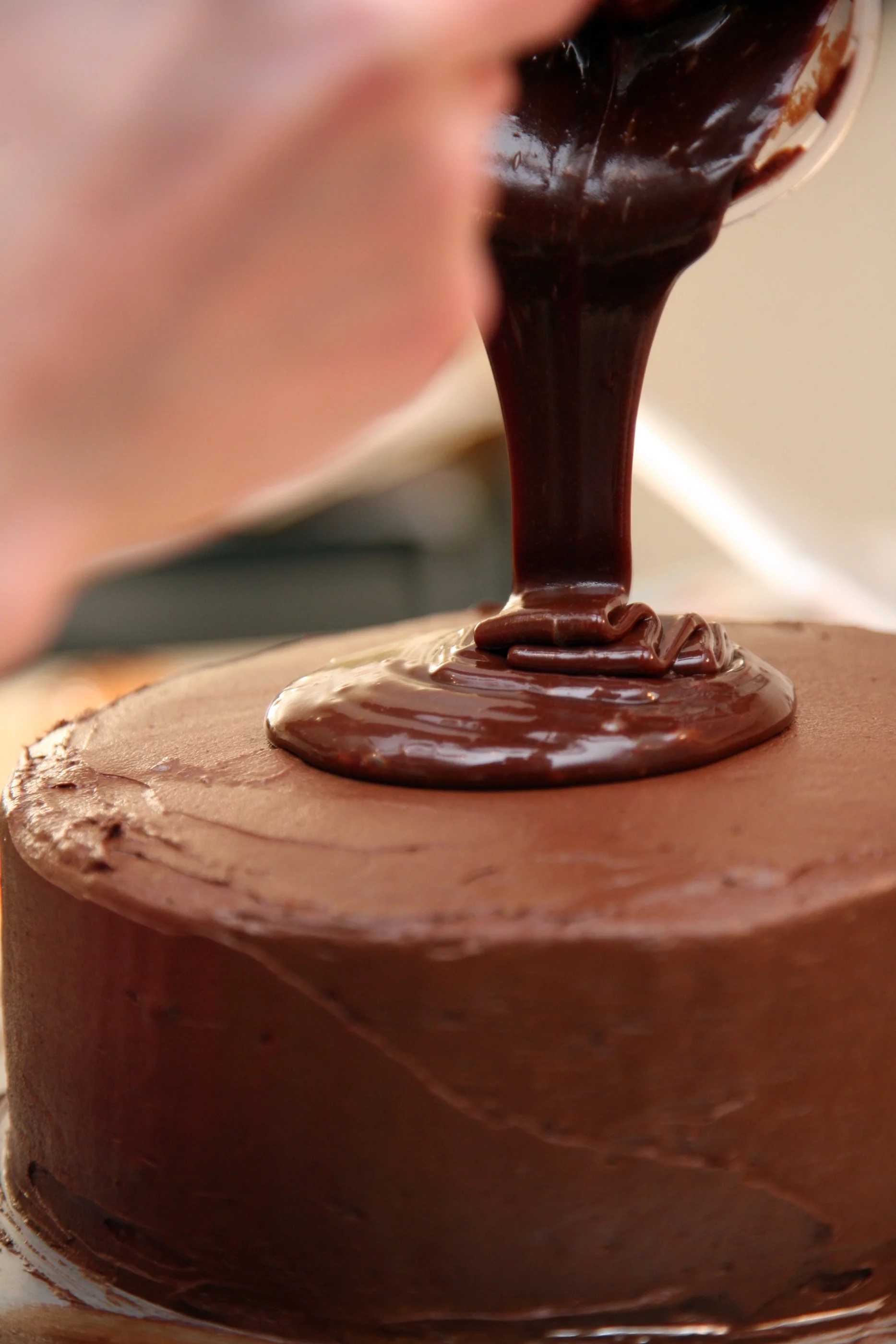 Pour Some Chocolate on that Chocolate Lemon Cake