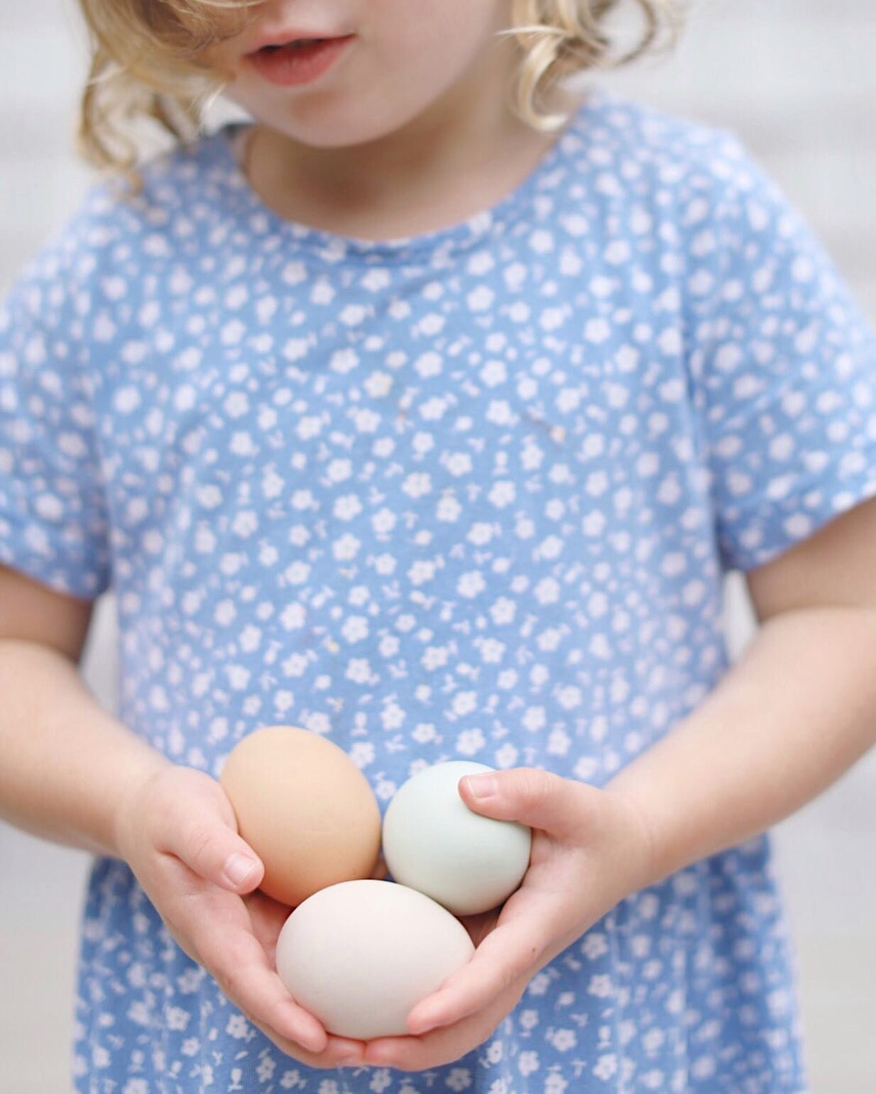 My mom and I took my 3 year old on one of her first public-place-outings since March. We  visited a little farm on the Cape and got to open little hatched doors where we scooted hens over to hand pick farm fresh eggs. She was so proud of her haul &md