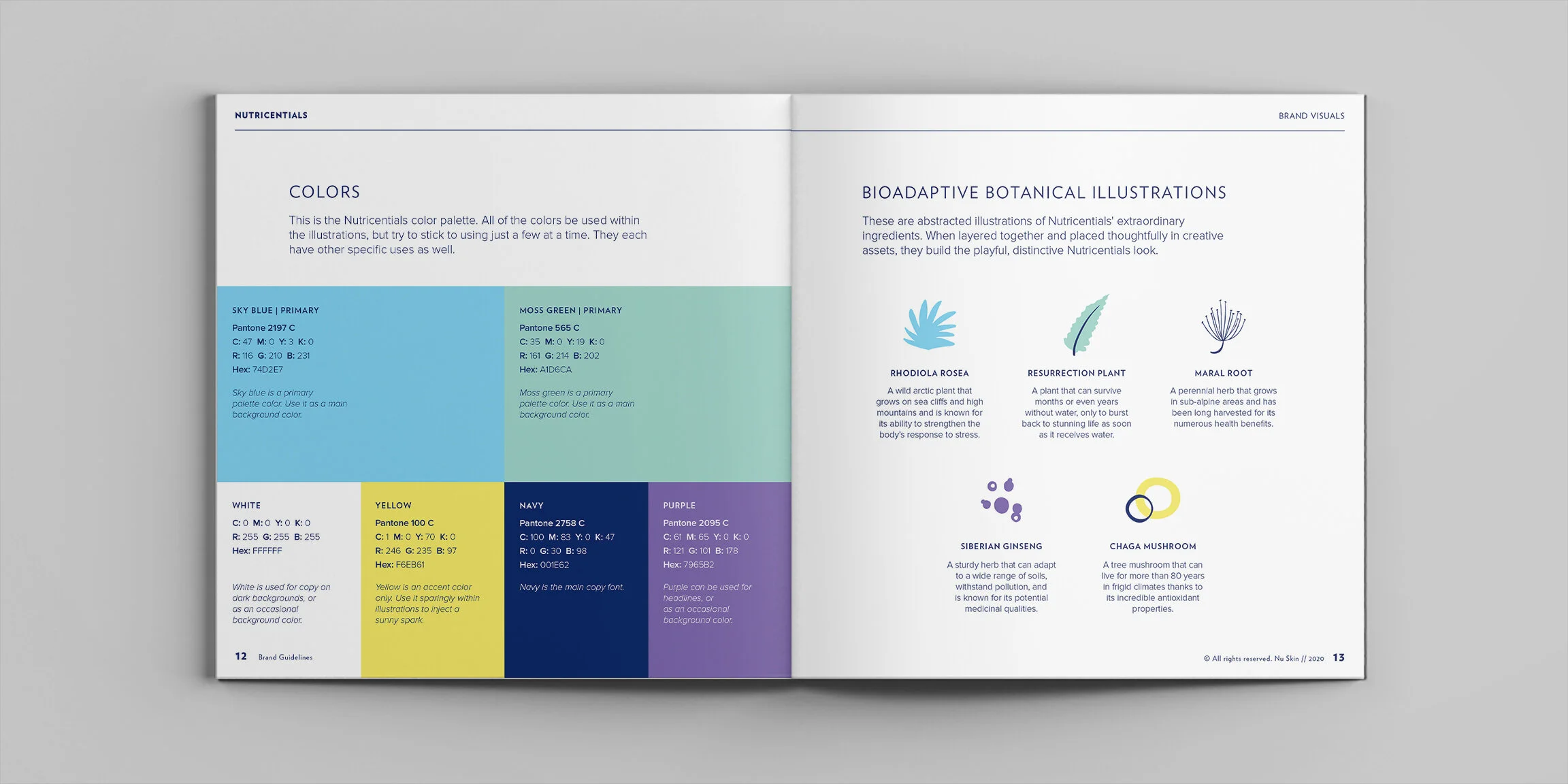 Book-Mockup_0006_Spread 6.jpg