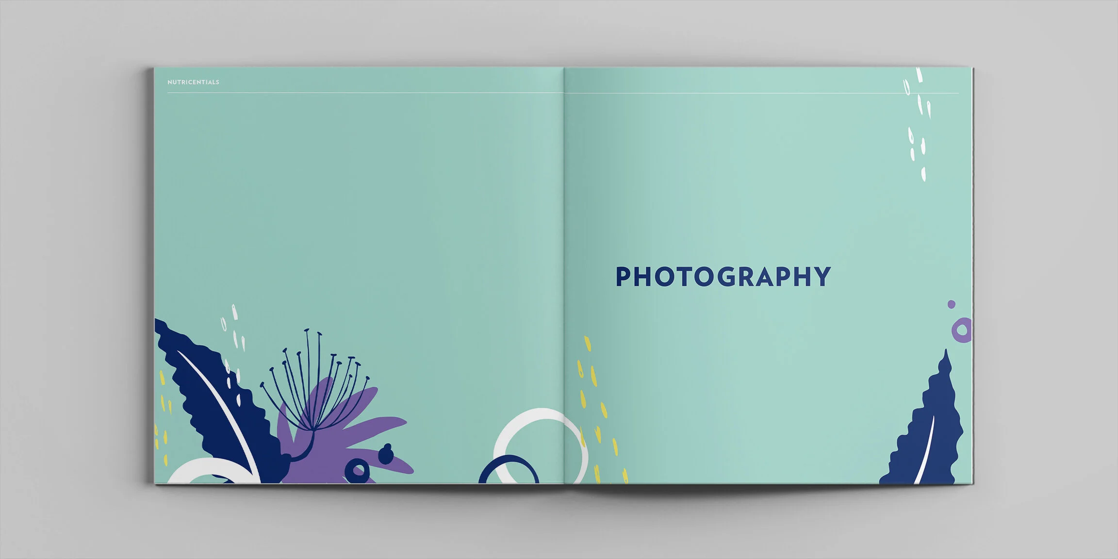 Book-Mockup_0008_Spread 8.jpg
