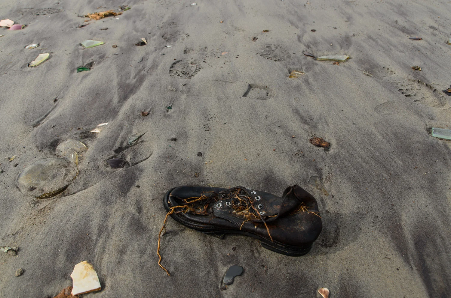 Dead Horse Bay (Heidi M. Nunnally)-7.jpg
