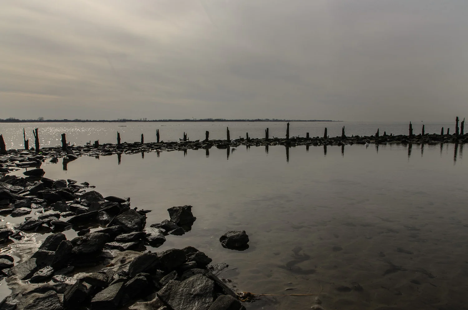 Dead Horse Bay (Heidi M. Nunnally)-39.jpg