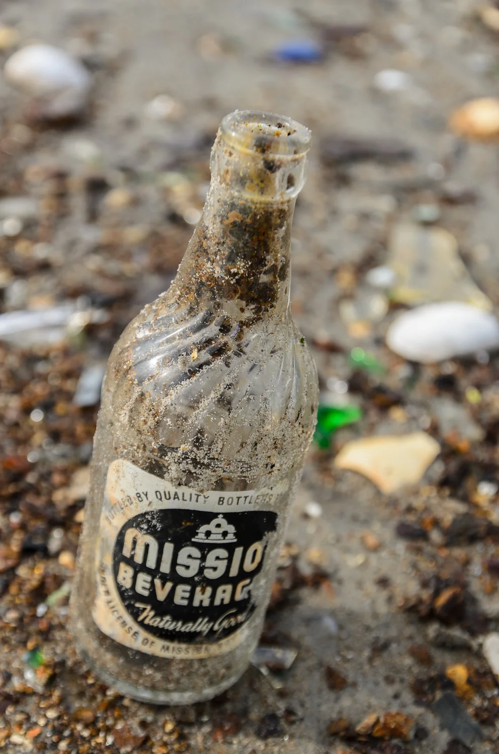 Dead Horse Bay (Heidi M. Nunnally)-141.jpg