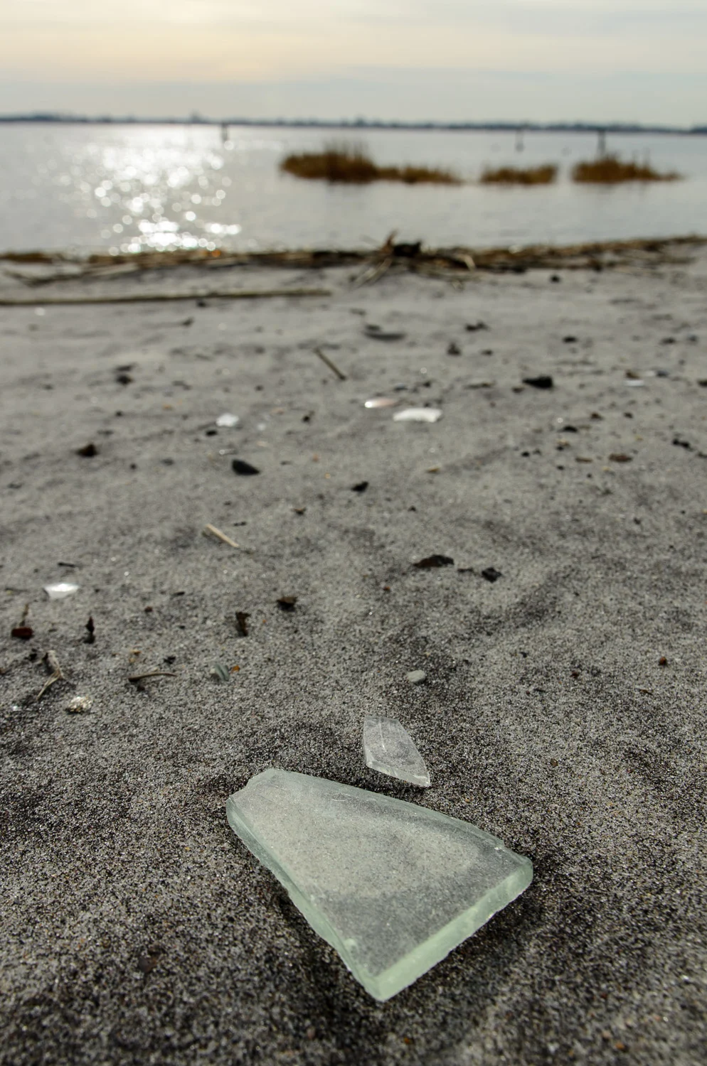 Dead Horse Bay (Heidi M. Nunnally)-20.jpg