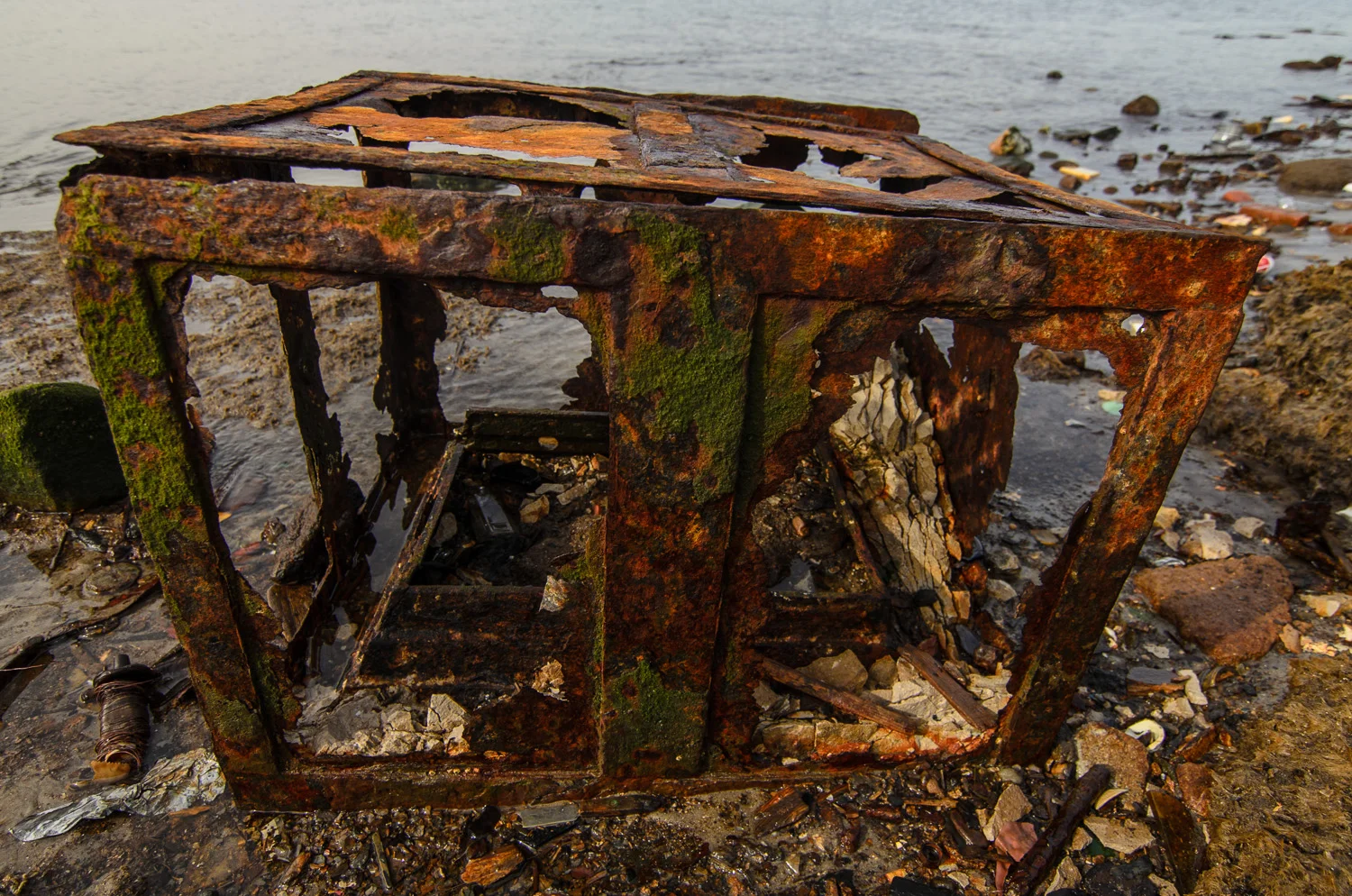Dead Horse Bay (Heidi M. Nunnally)-107.jpg