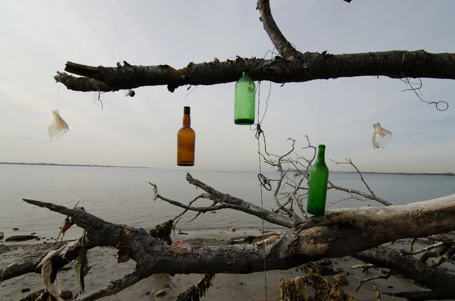 Dead Horse Bay (Heidi M. Nunnally)-116.jpg