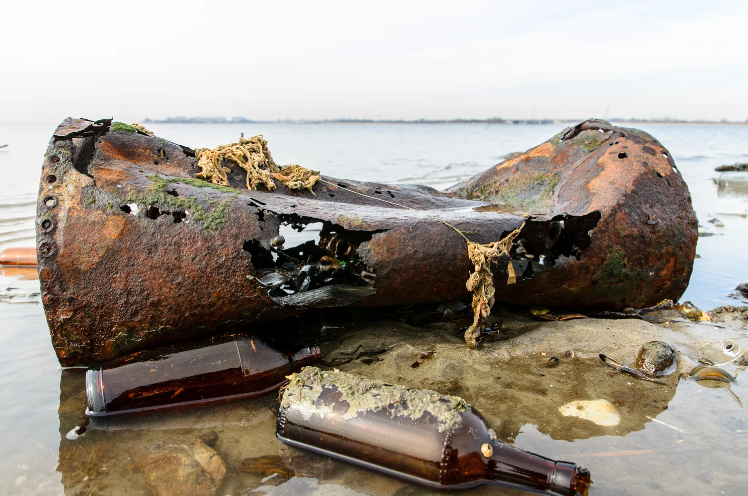 Dead Horse Bay (Heidi M. Nunnally)-124.jpg